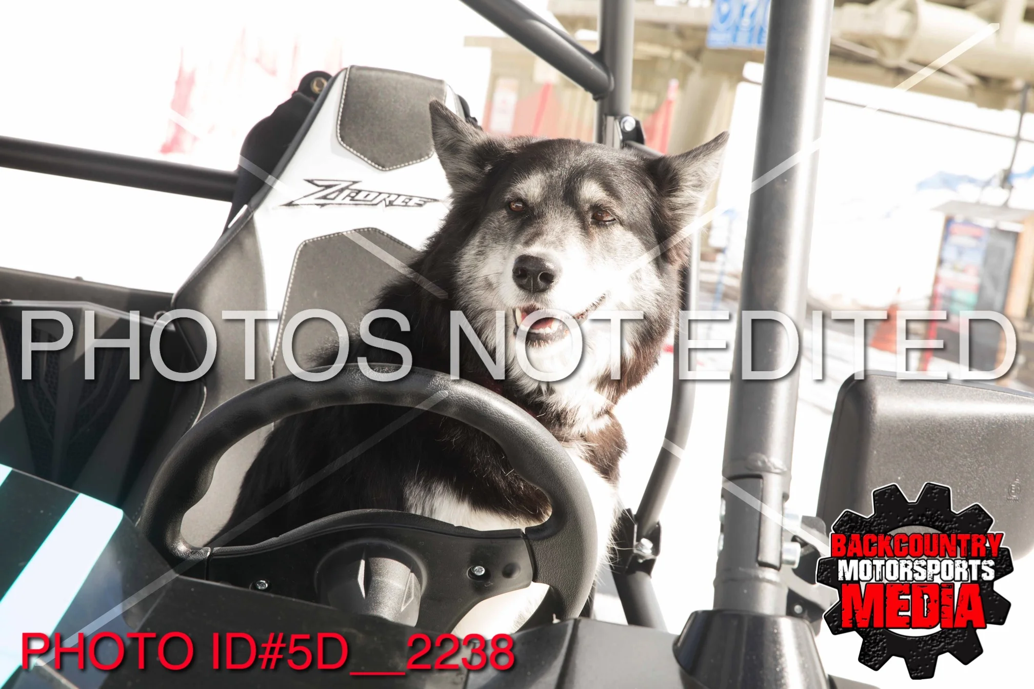 5D__2238.jpg