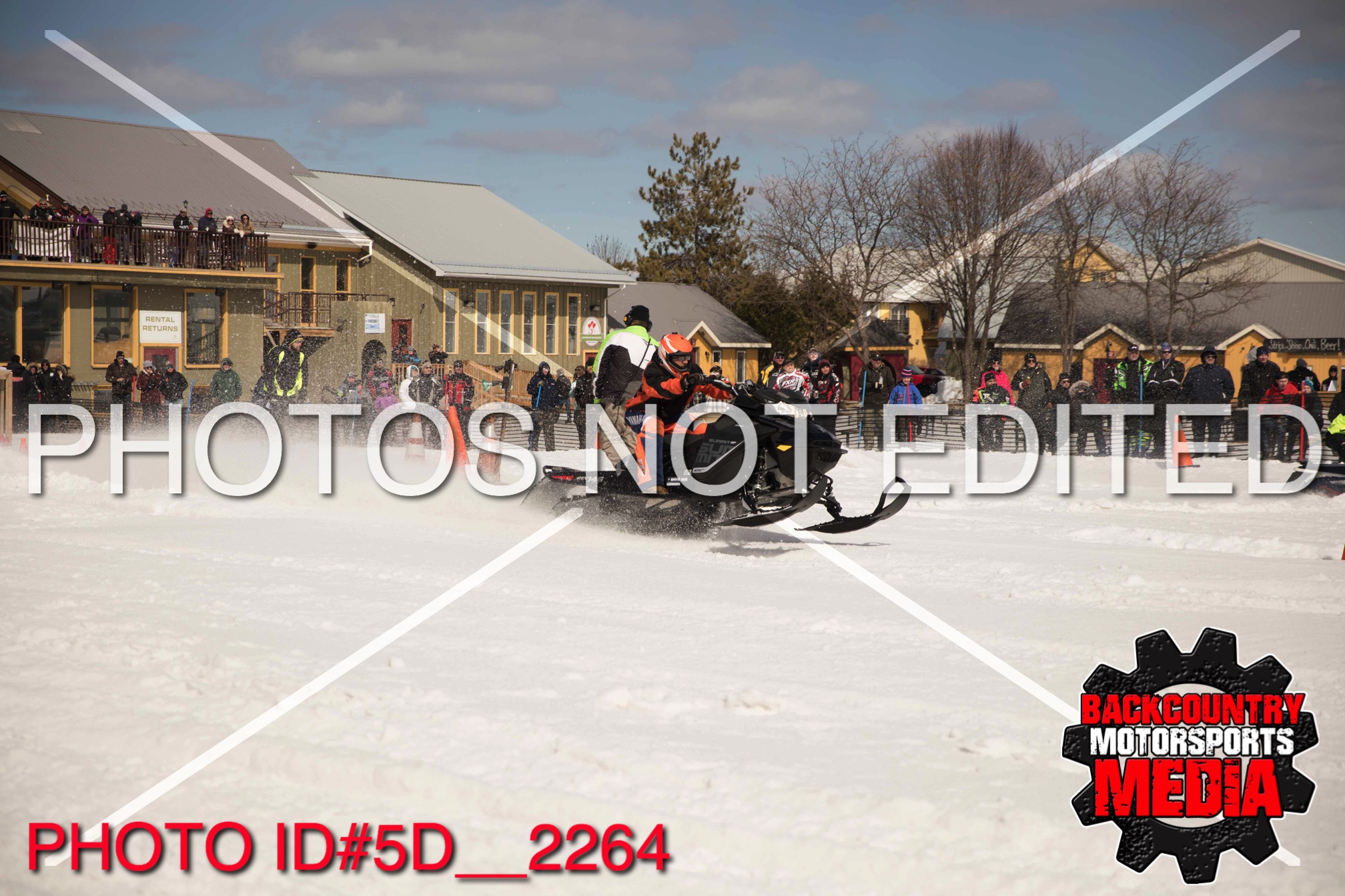 5D__2264.jpg