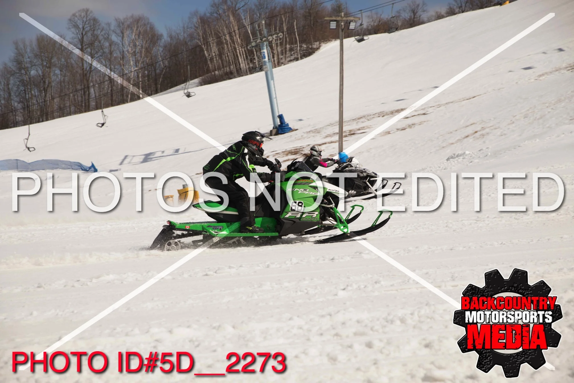 5D__2273.jpg