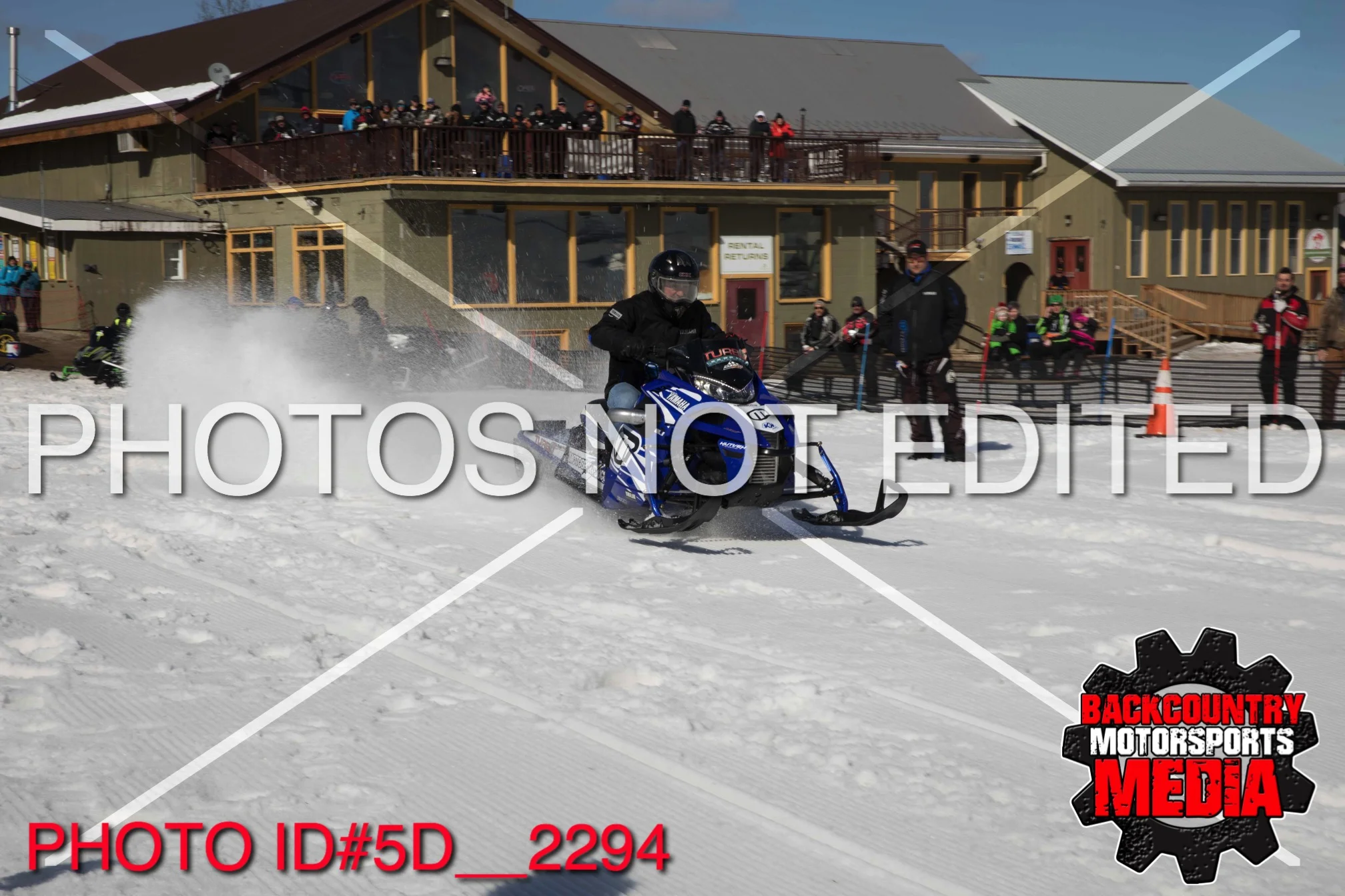 5D__2294.jpg