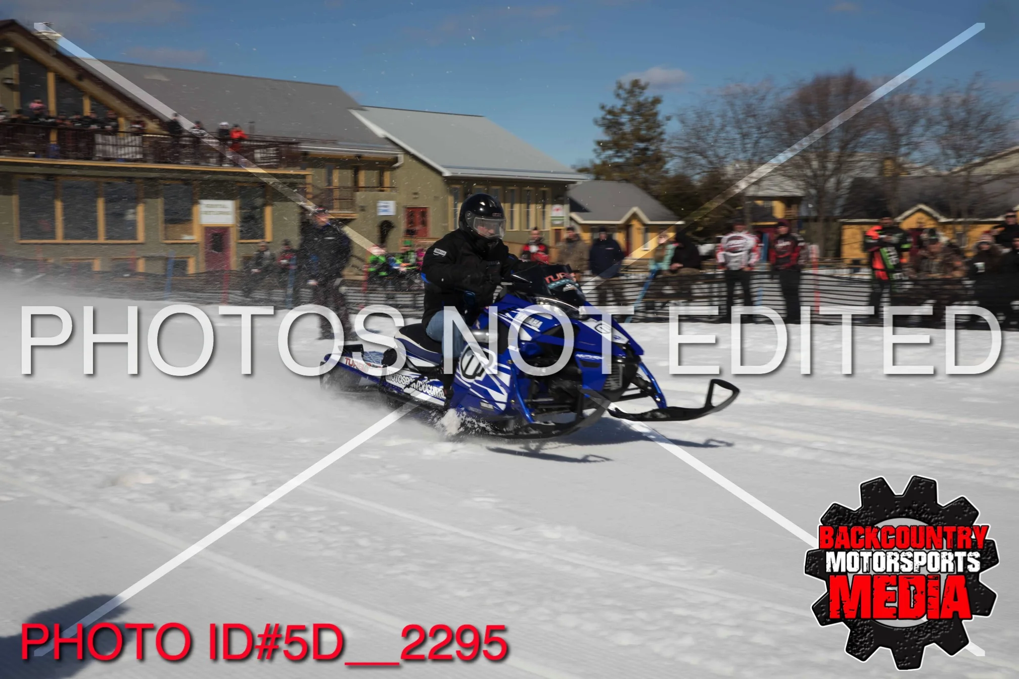 5D__2295.jpg