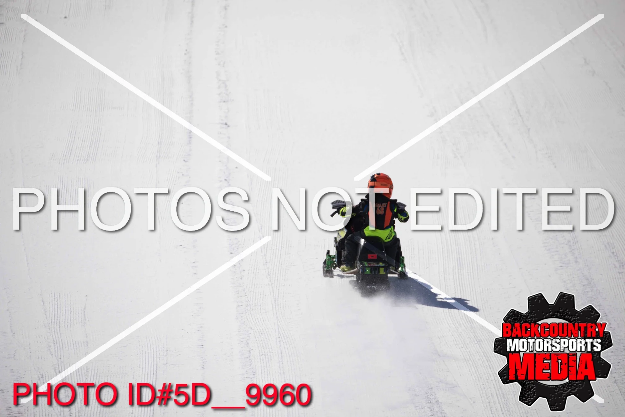5D__9960.jpg