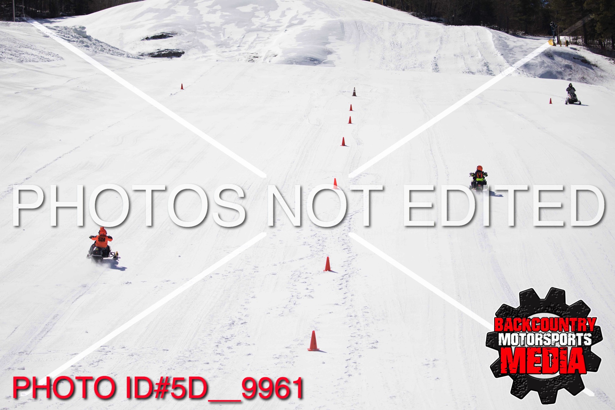 5D__9961.jpg