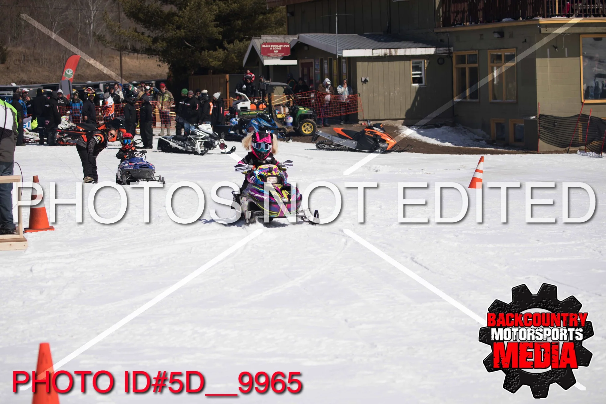 5D__9965.jpg