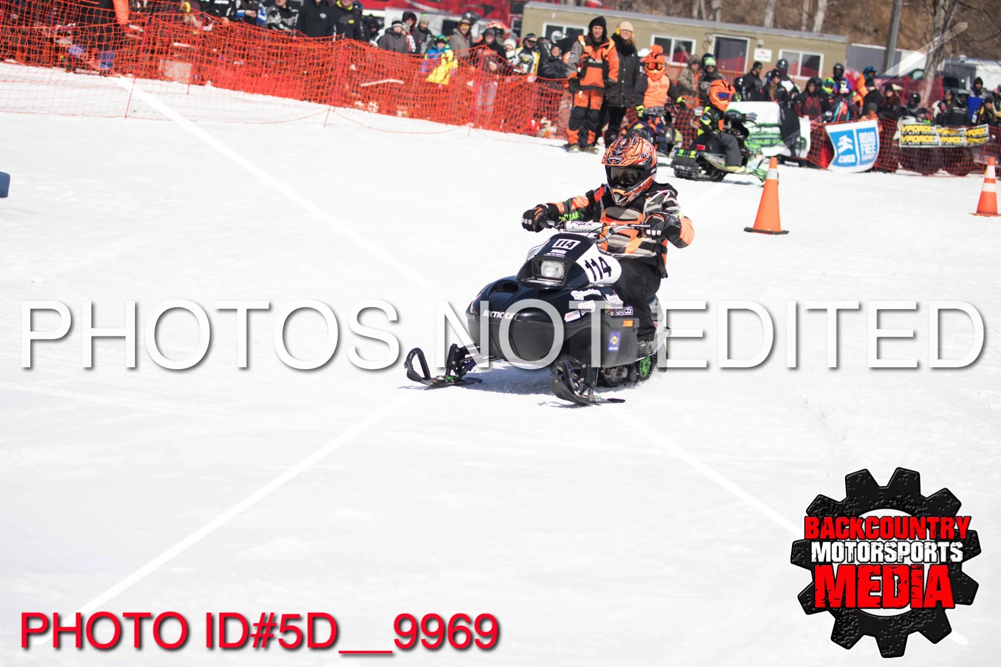 5D__9969.jpg