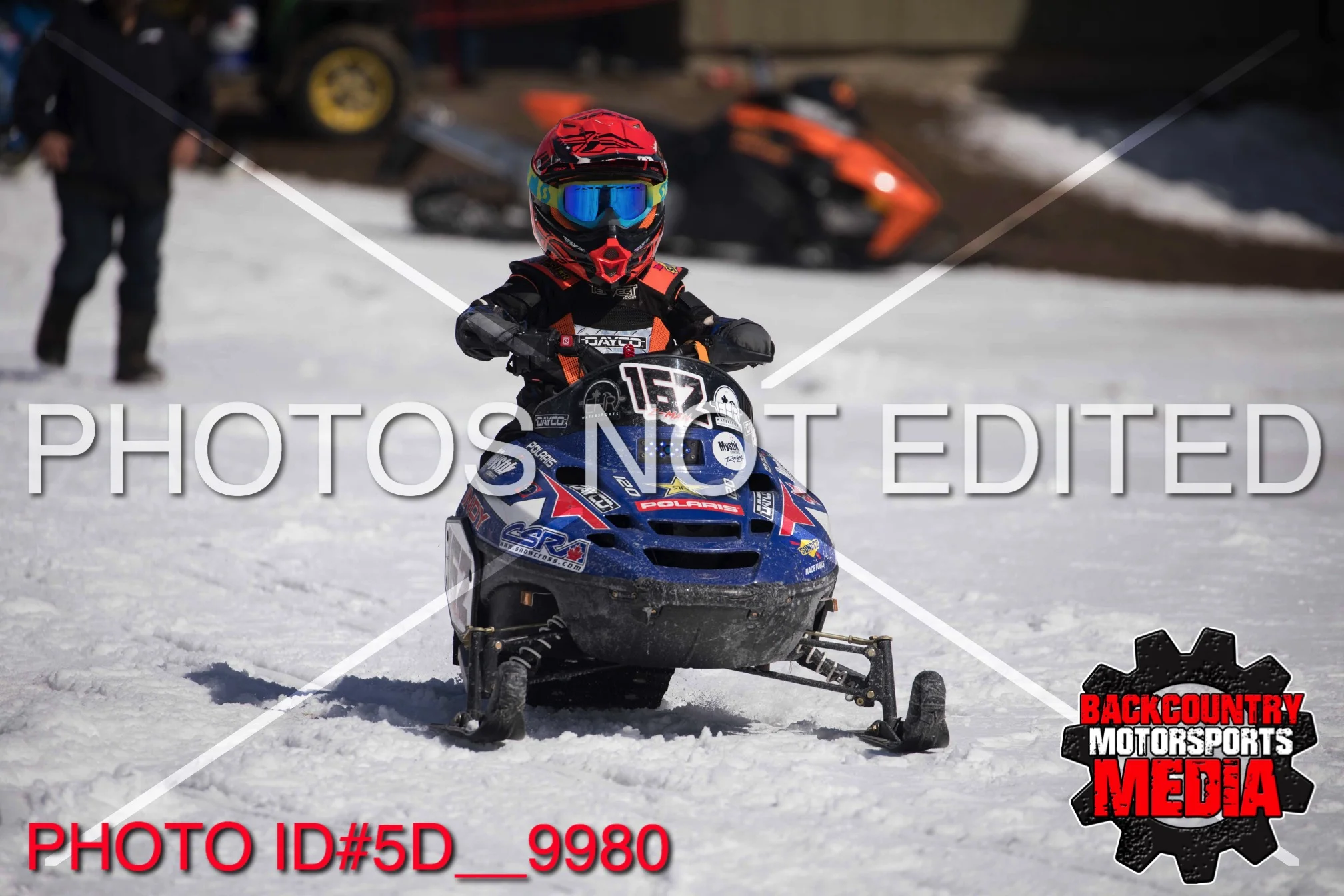 5D__9980.jpg