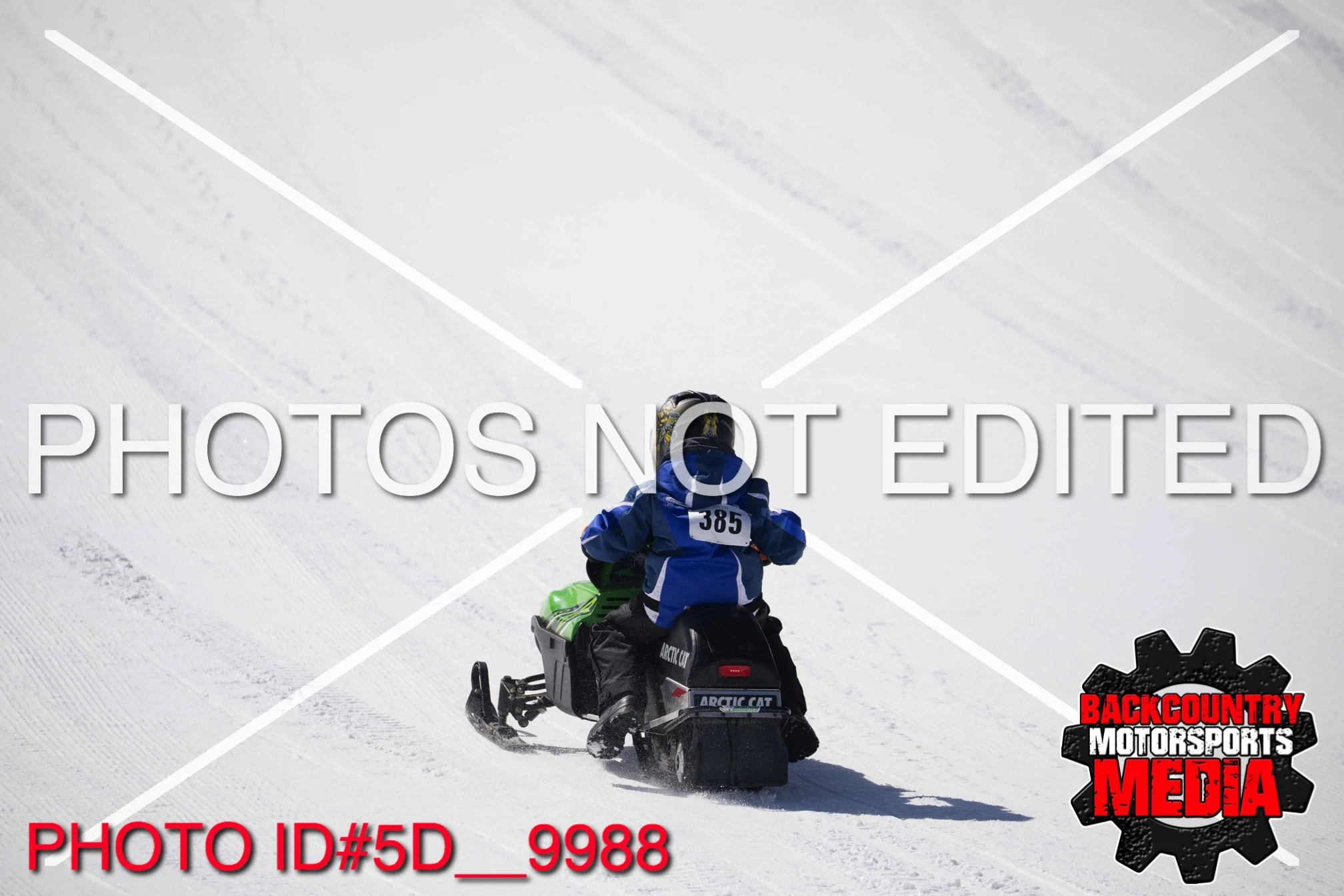 5D__9988.jpg