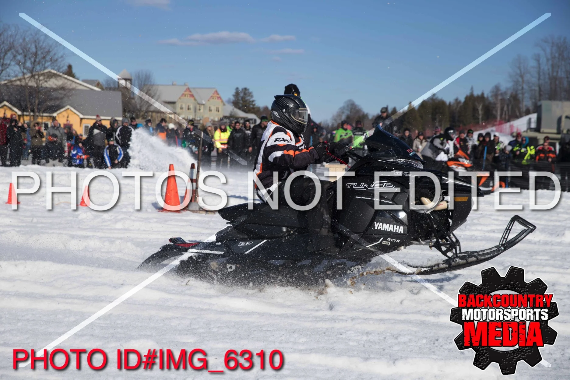 IMG_6310.jpg