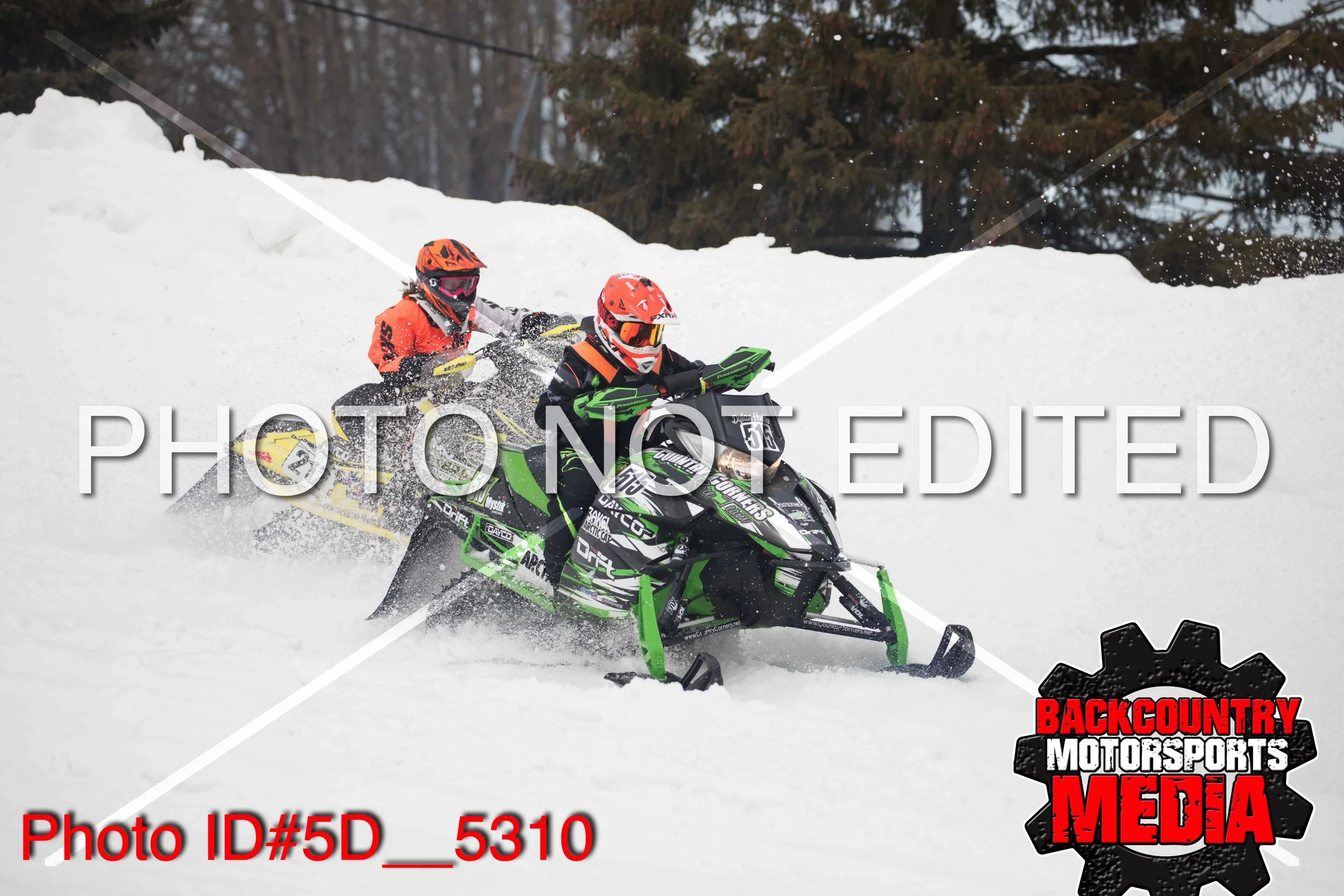 5D__5310.jpg
