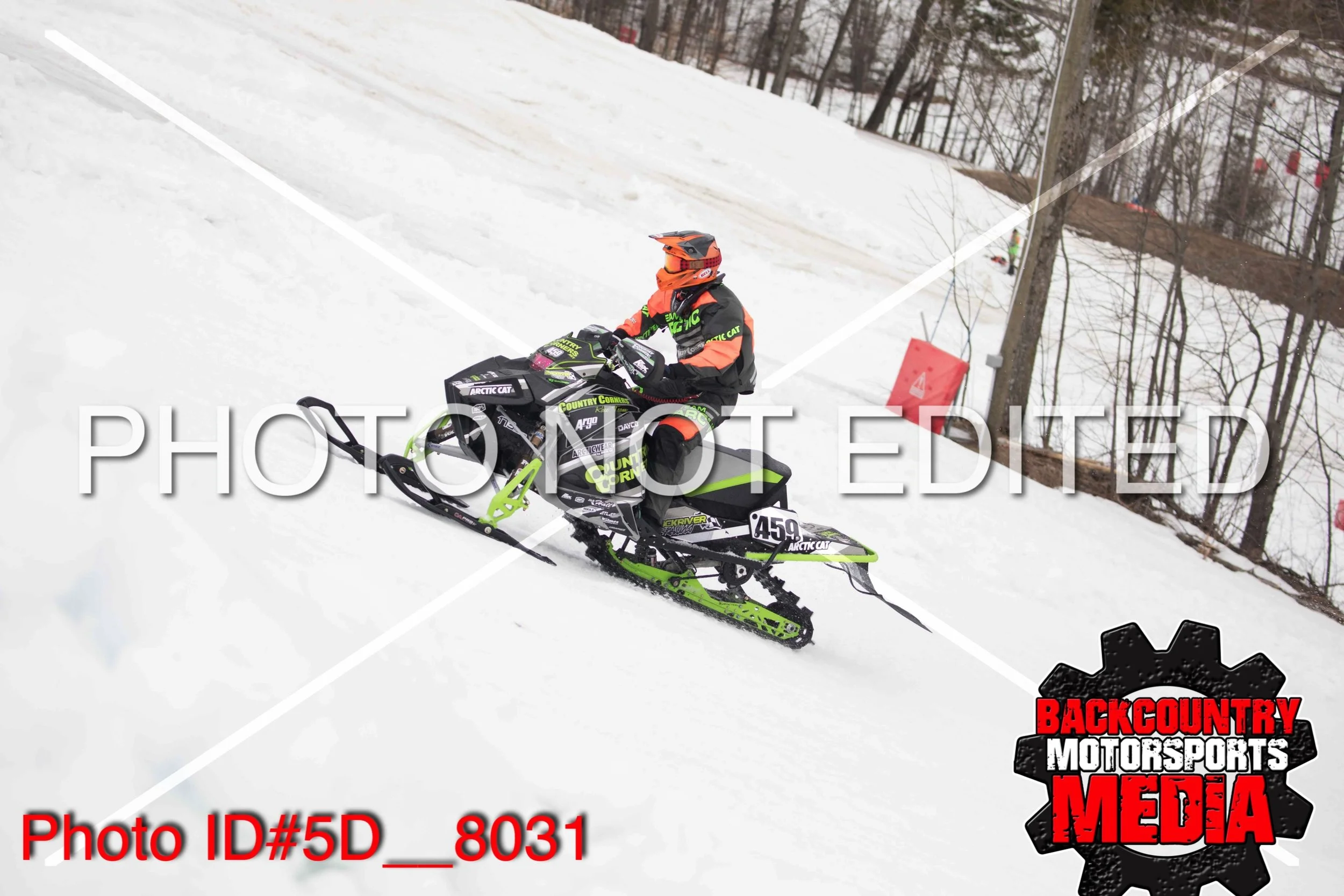 5D__8031.jpg