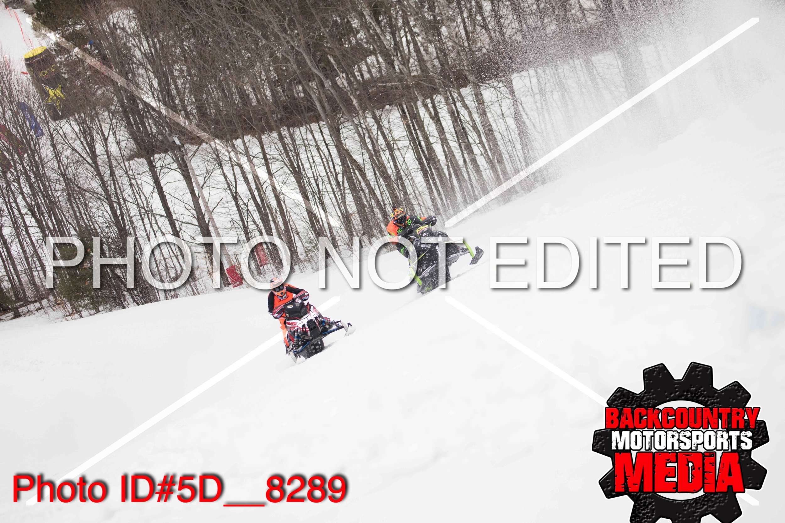 5D__8289.jpg