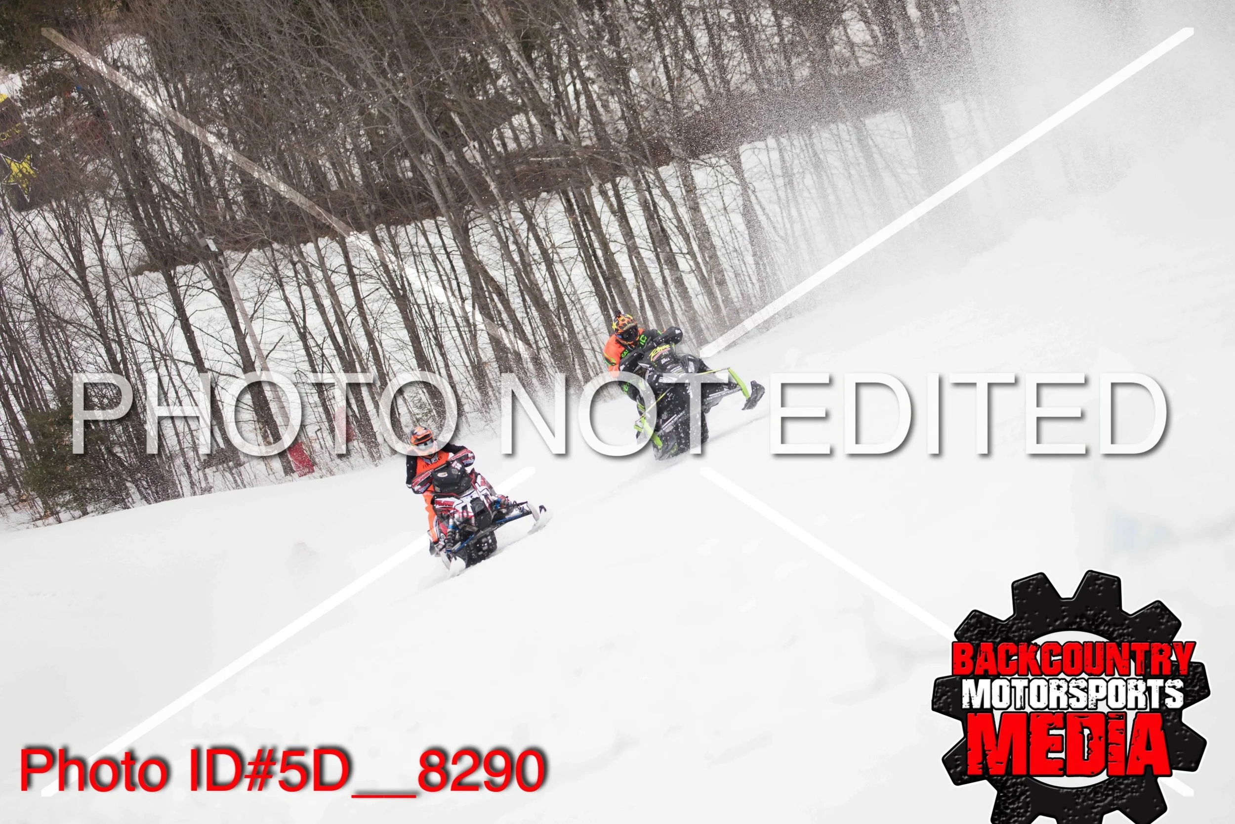 5D__8290.jpg