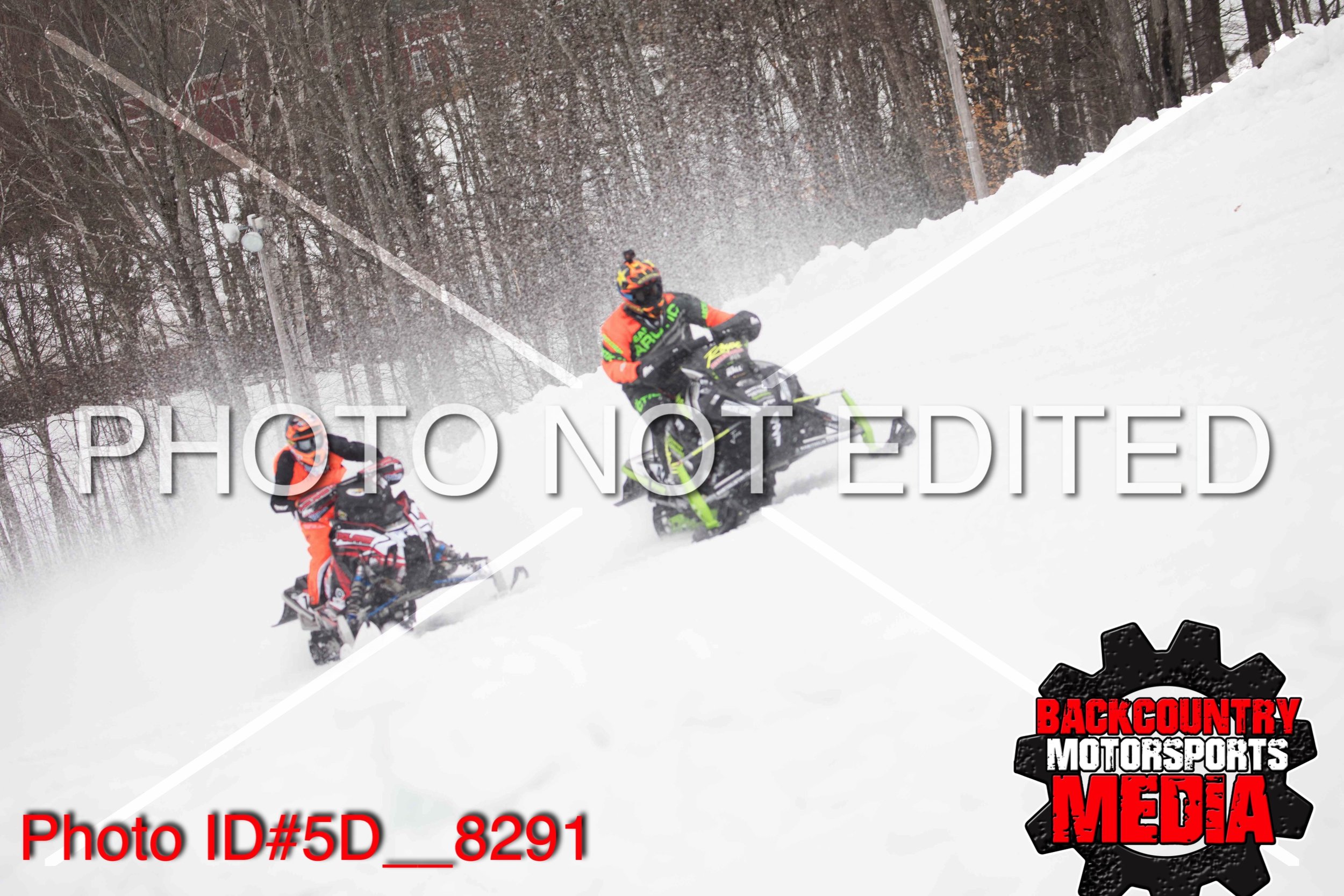 5D__8291.jpg