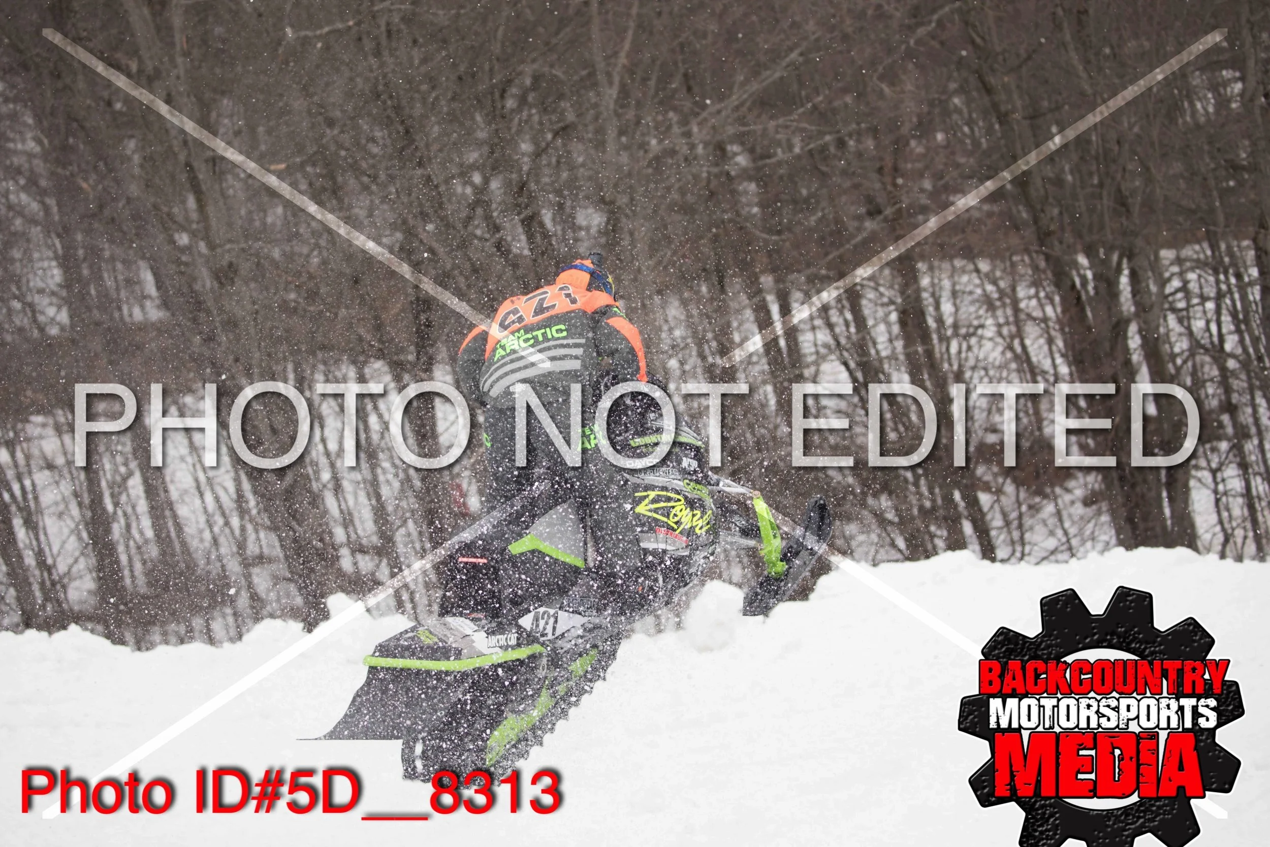 5D__8313.jpg