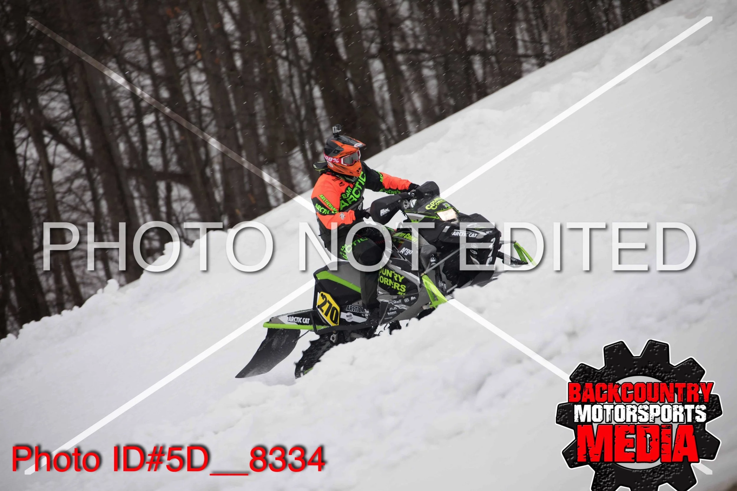 5D__8334.jpg