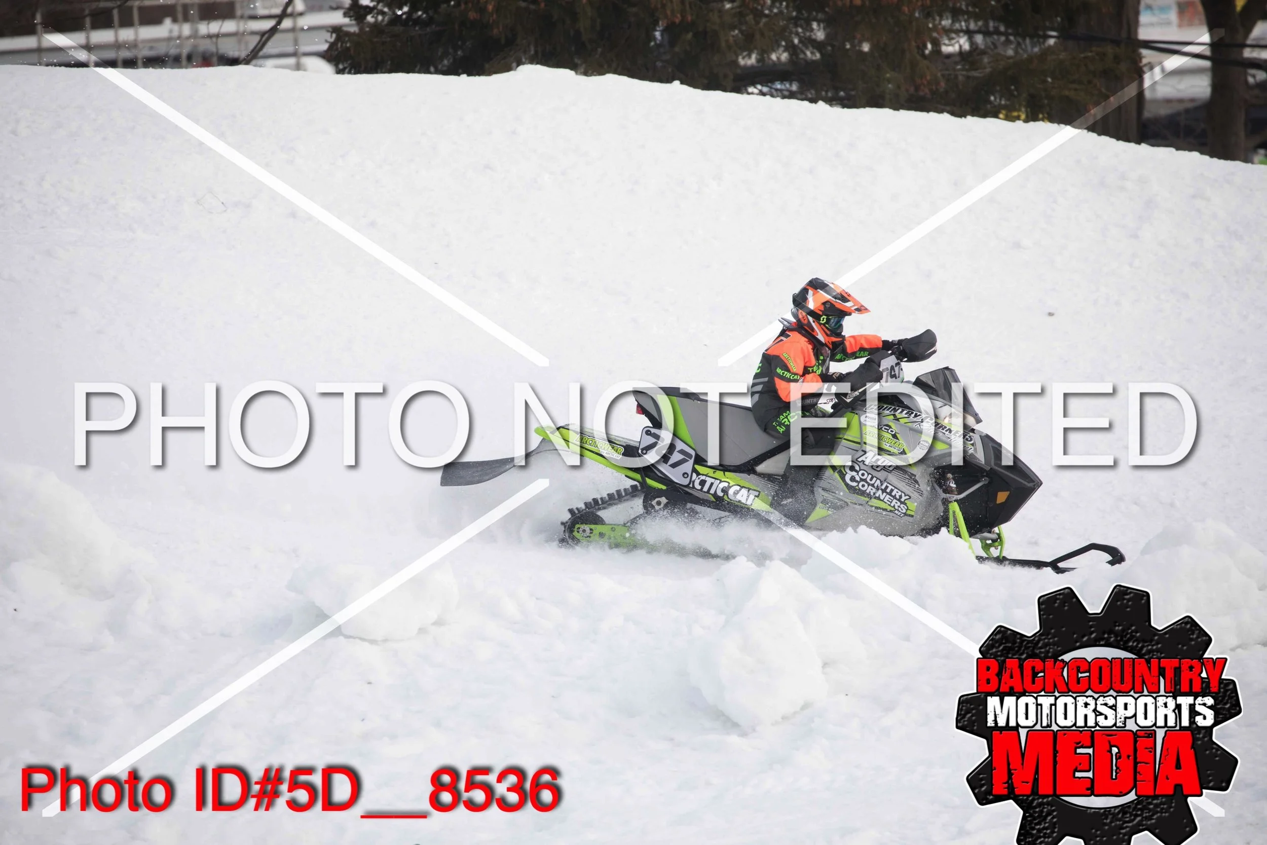 5D__8536.jpg