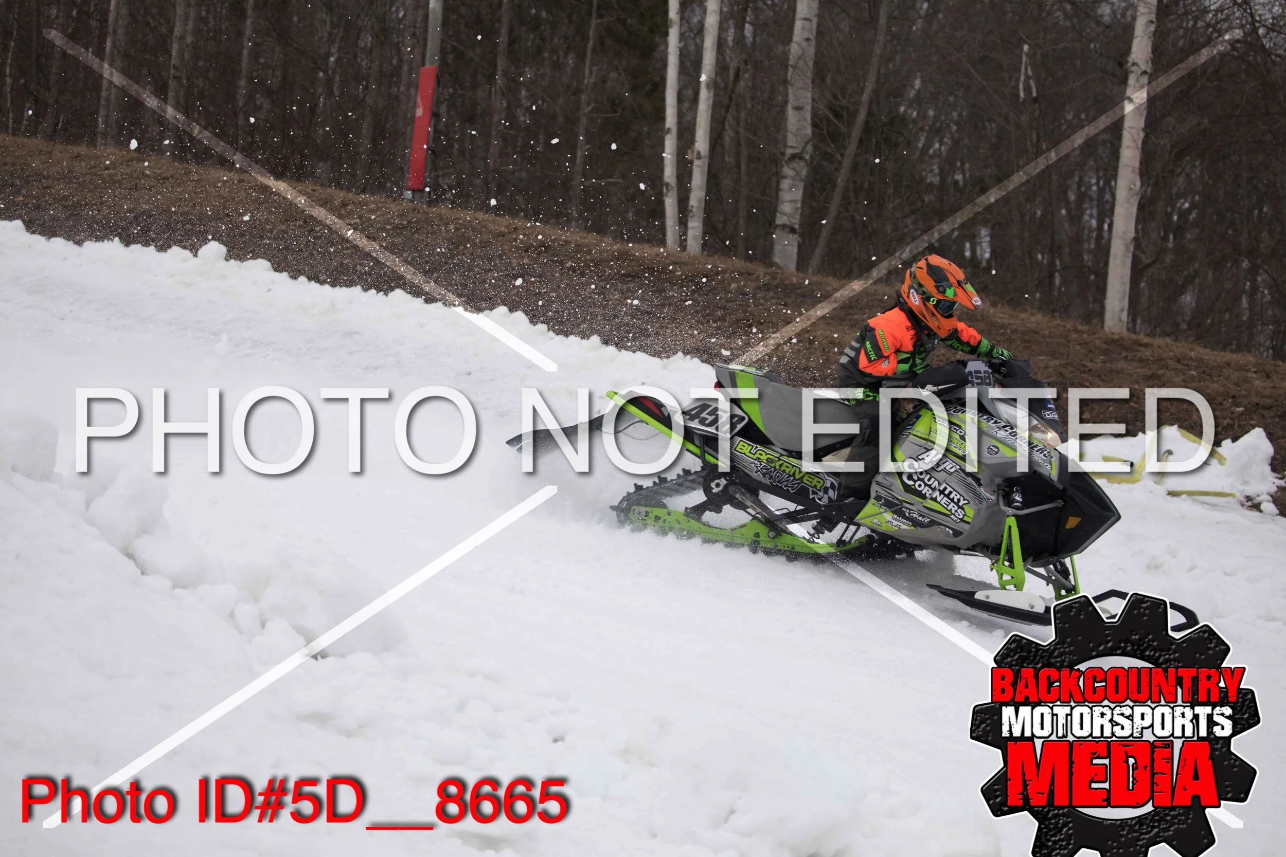 5D__8665.jpg