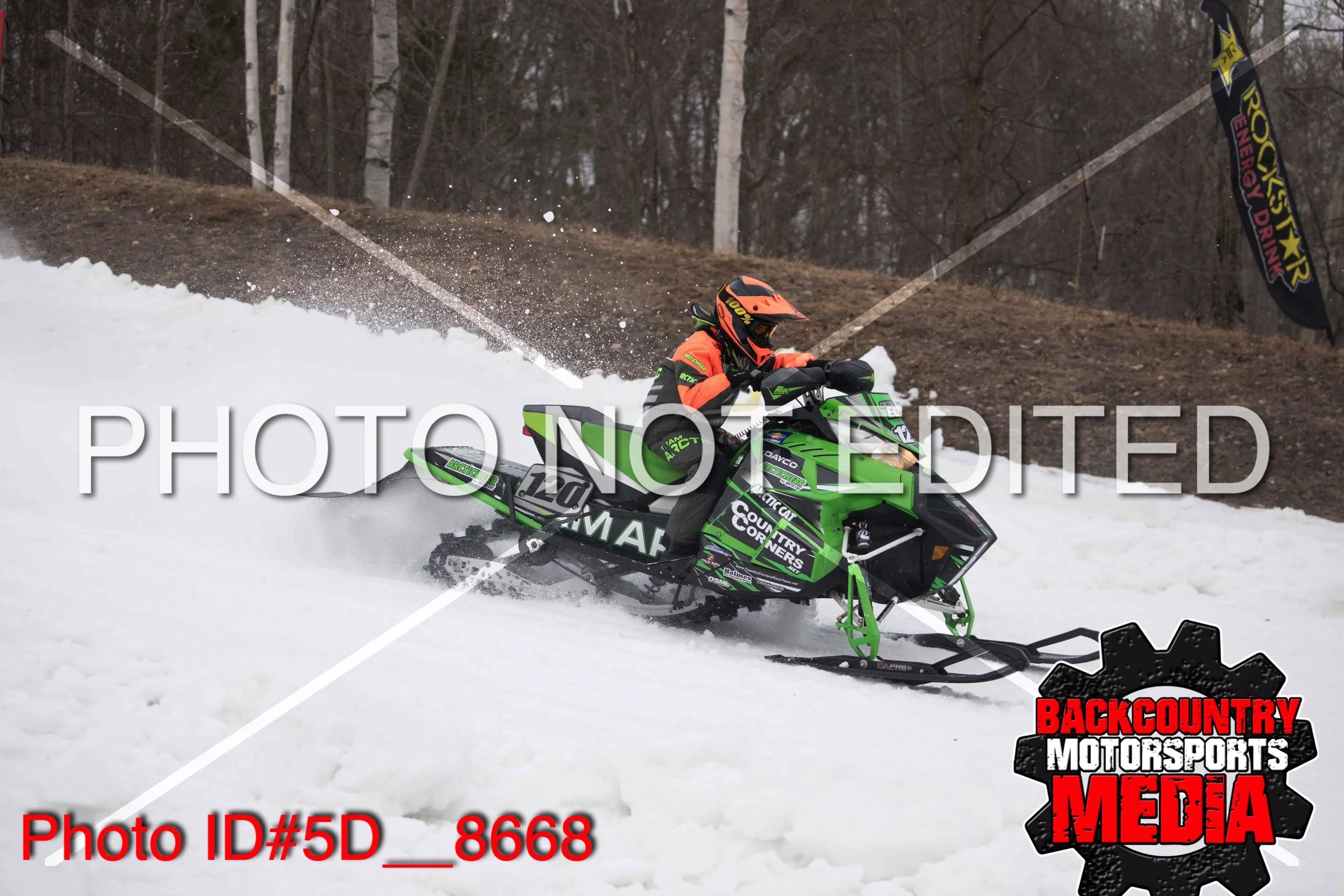 5D__8668.jpg