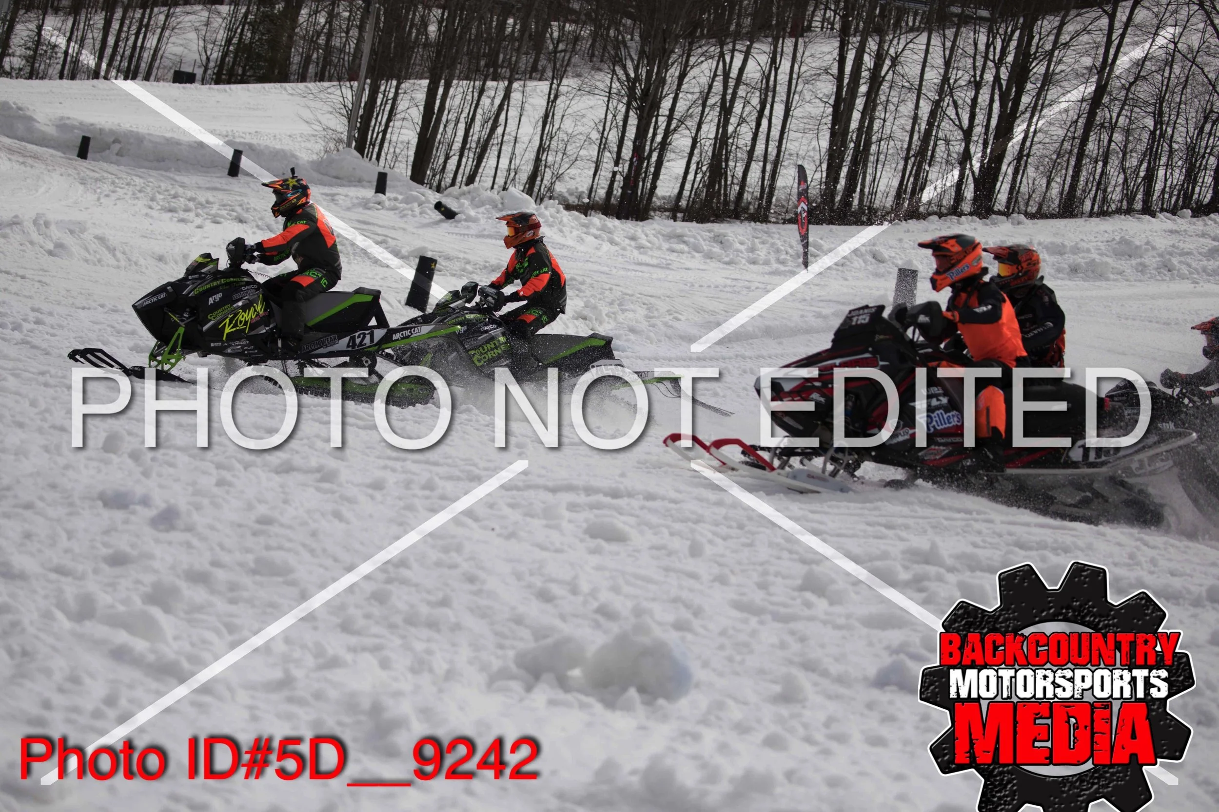 5D__9242.jpg