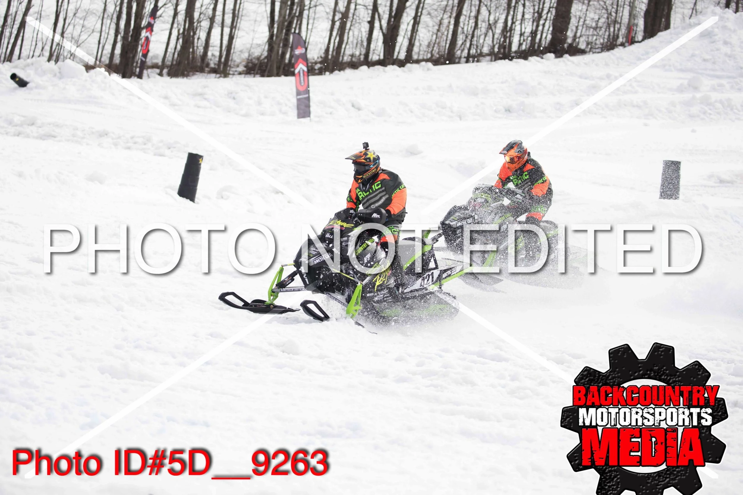 5D__9263.jpg