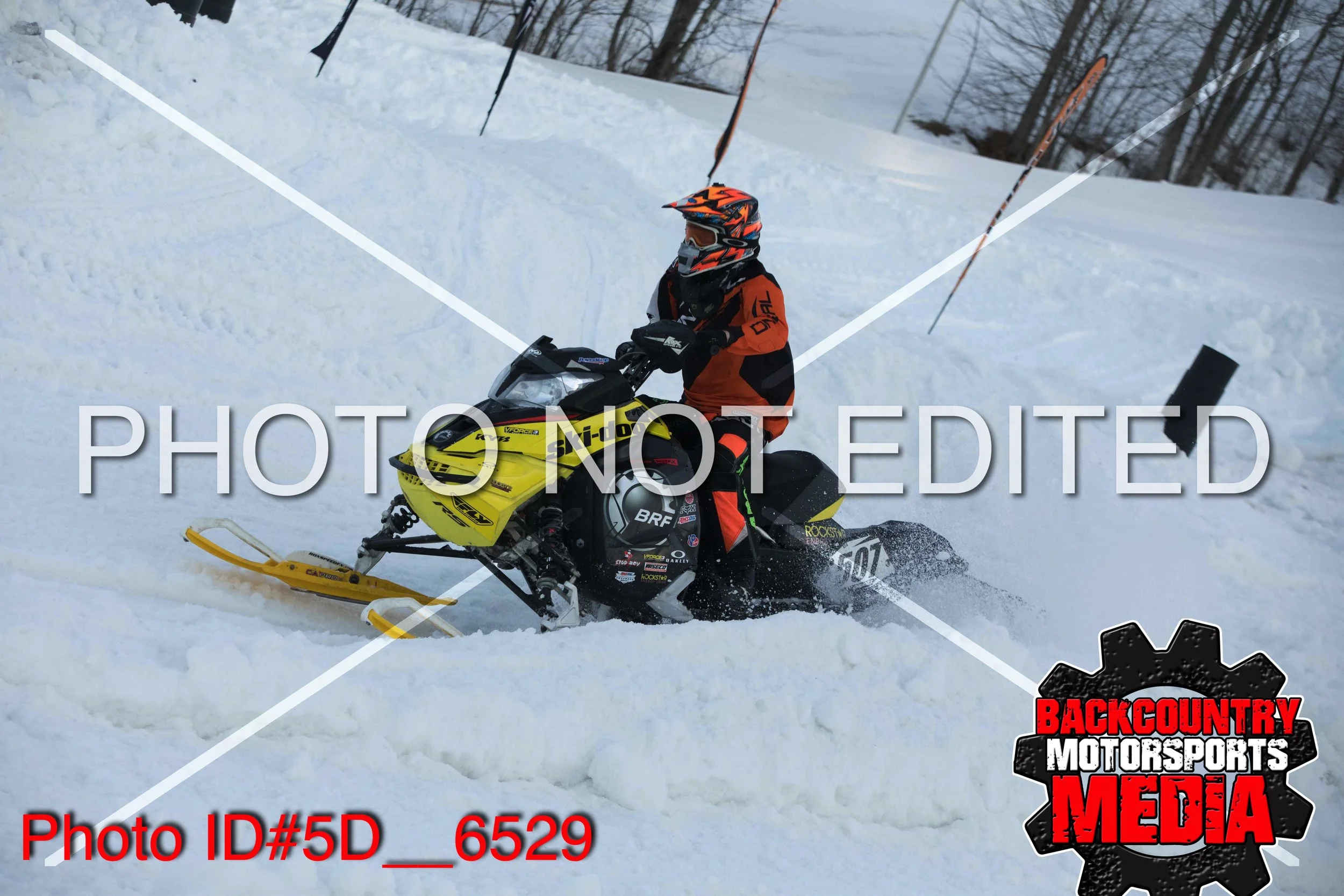 5D__6529.jpg