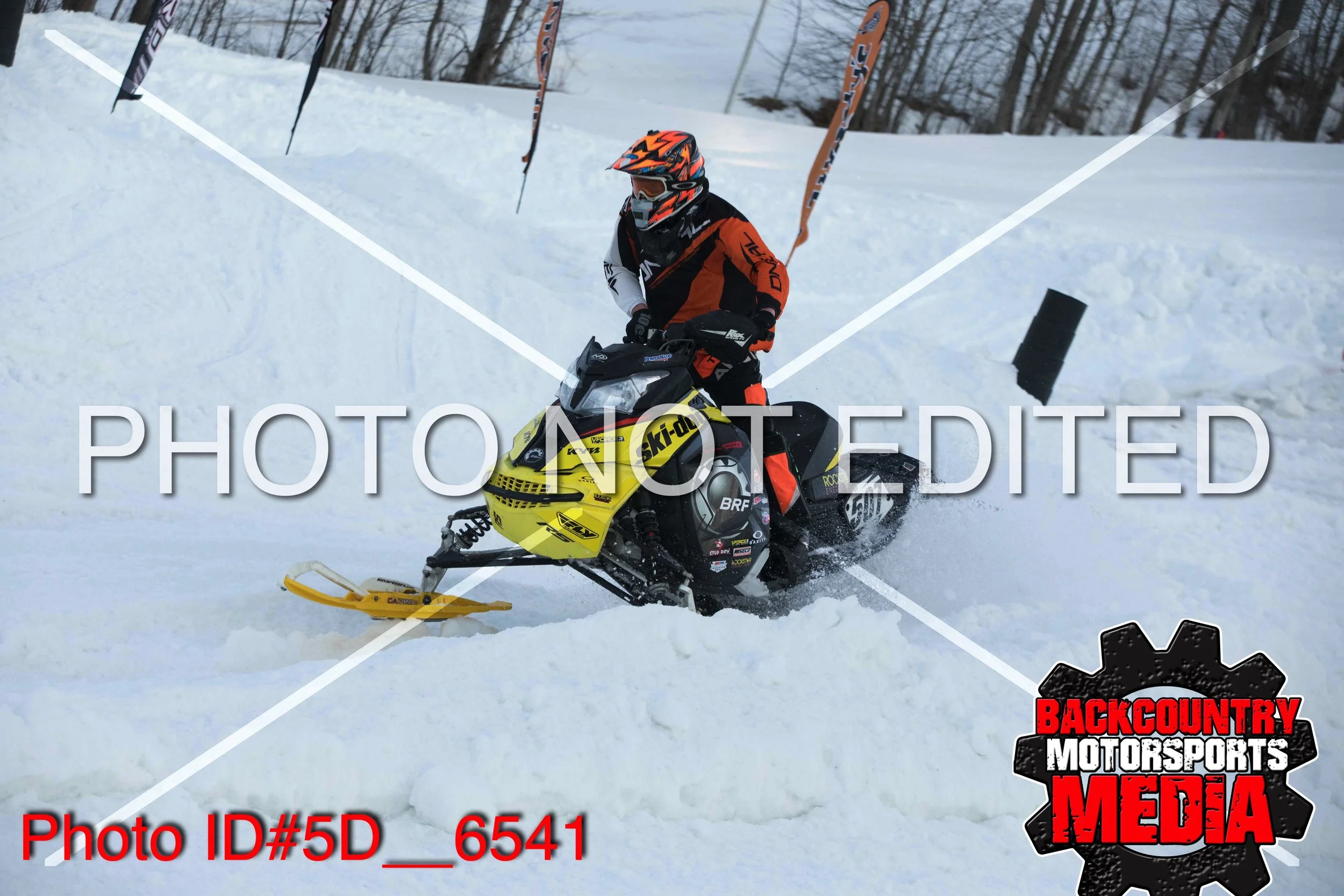 5D__6541.jpg
