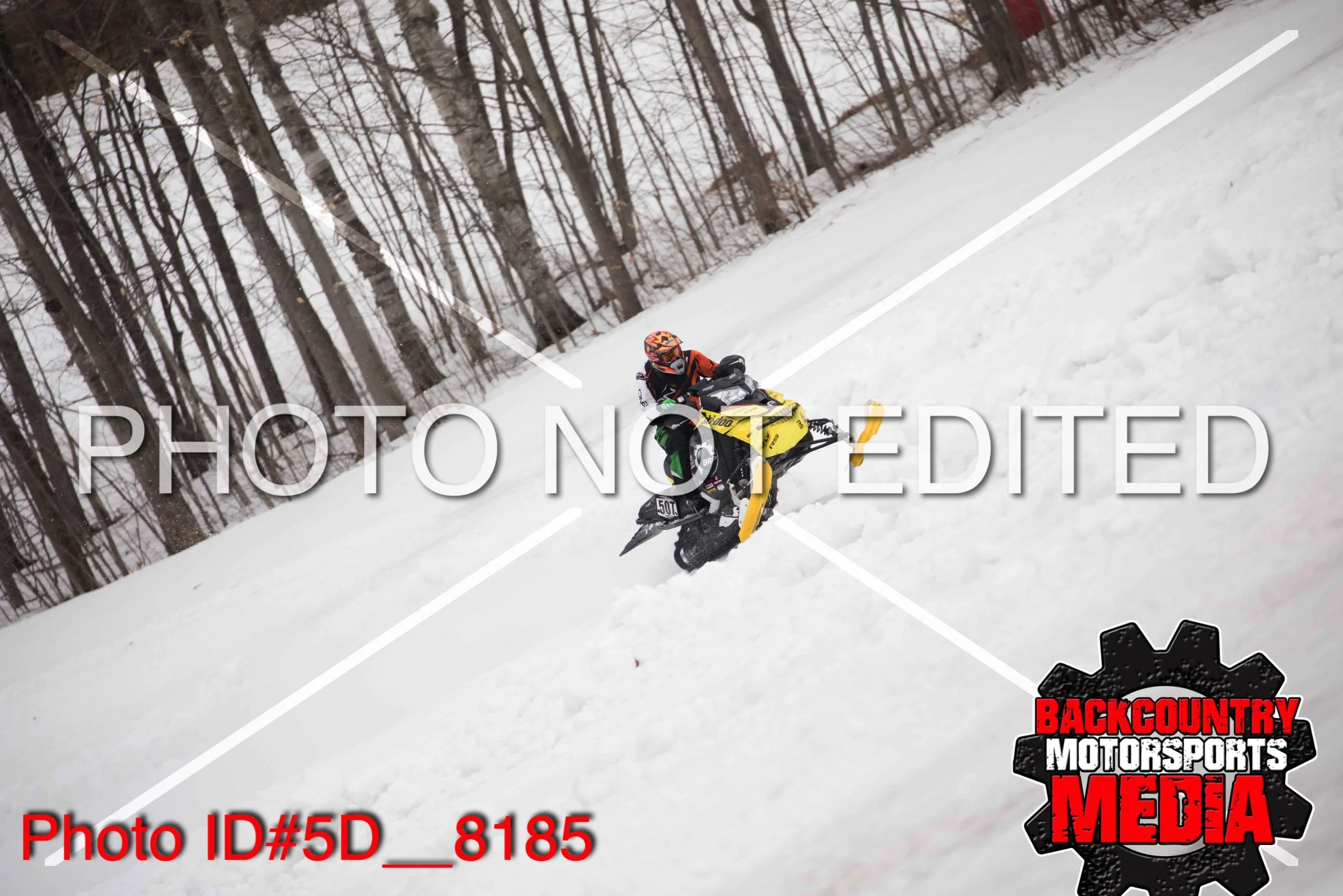 5D__8185.jpg