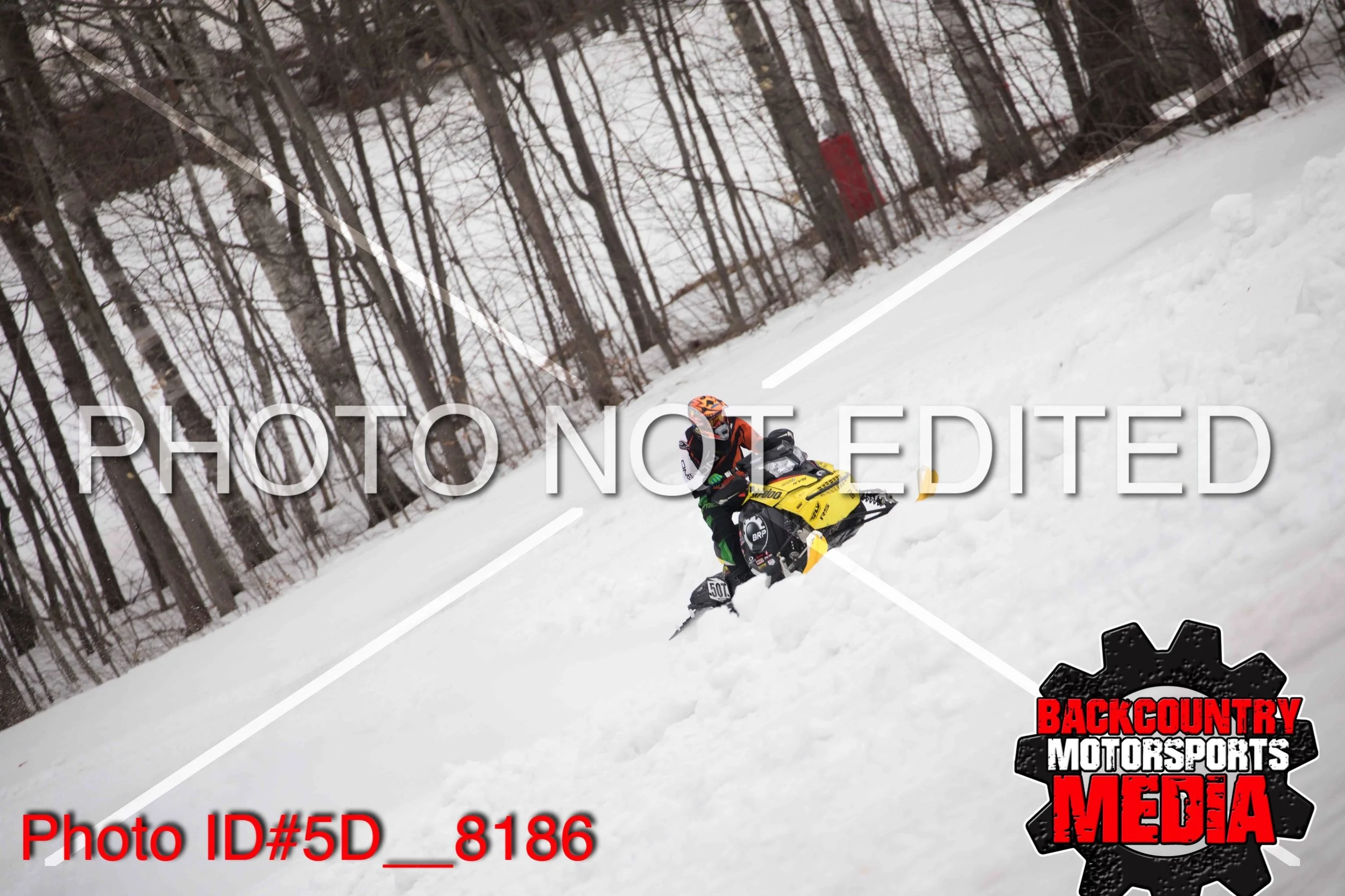 5D__8186.jpg