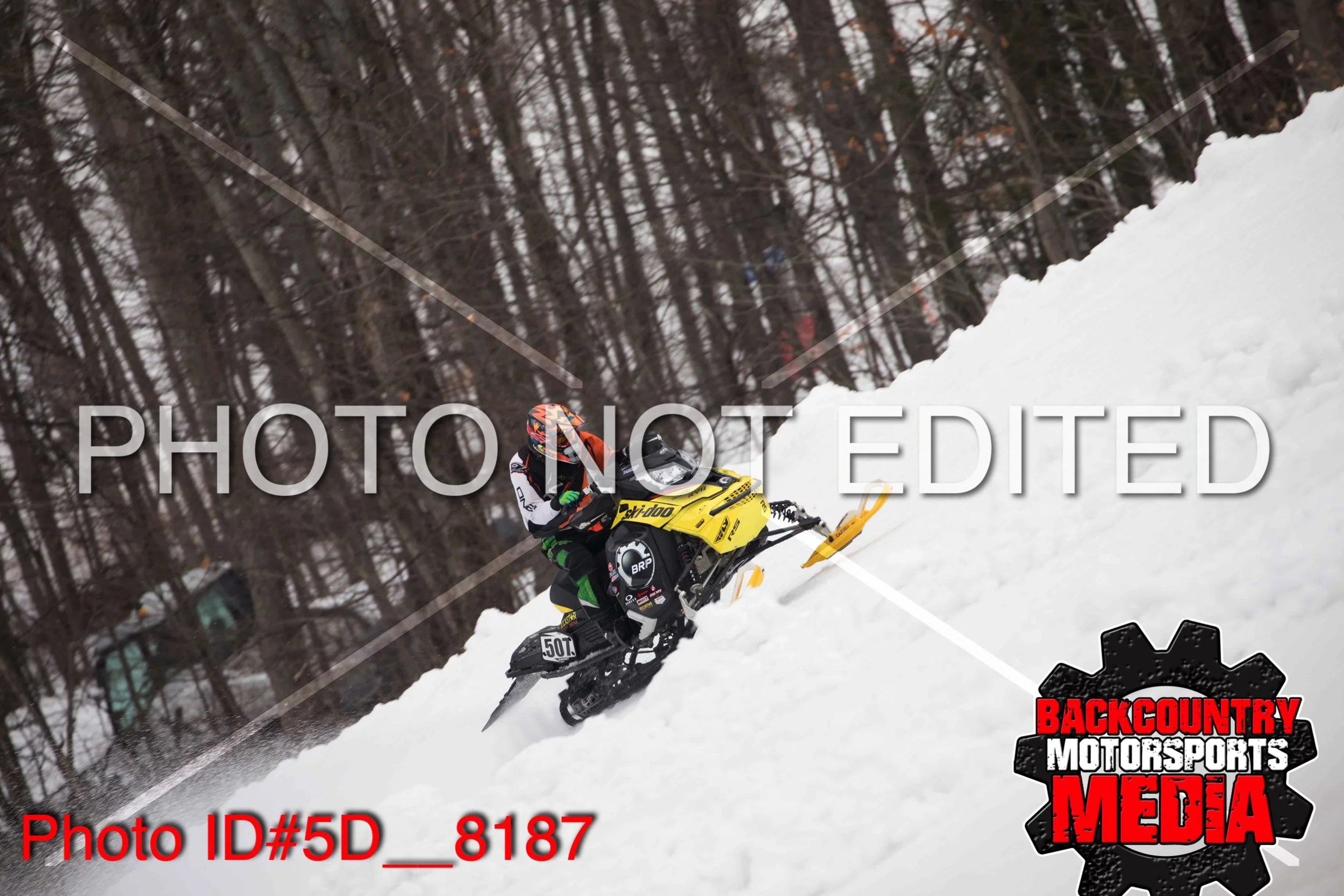 5D__8187.jpg
