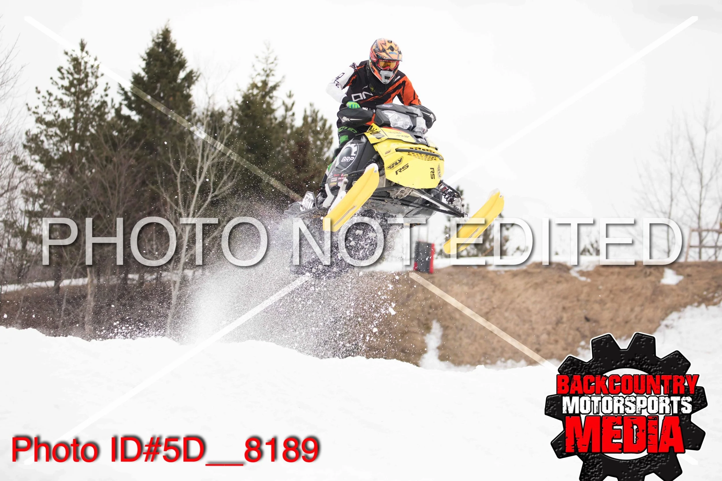 5D__8189.jpg