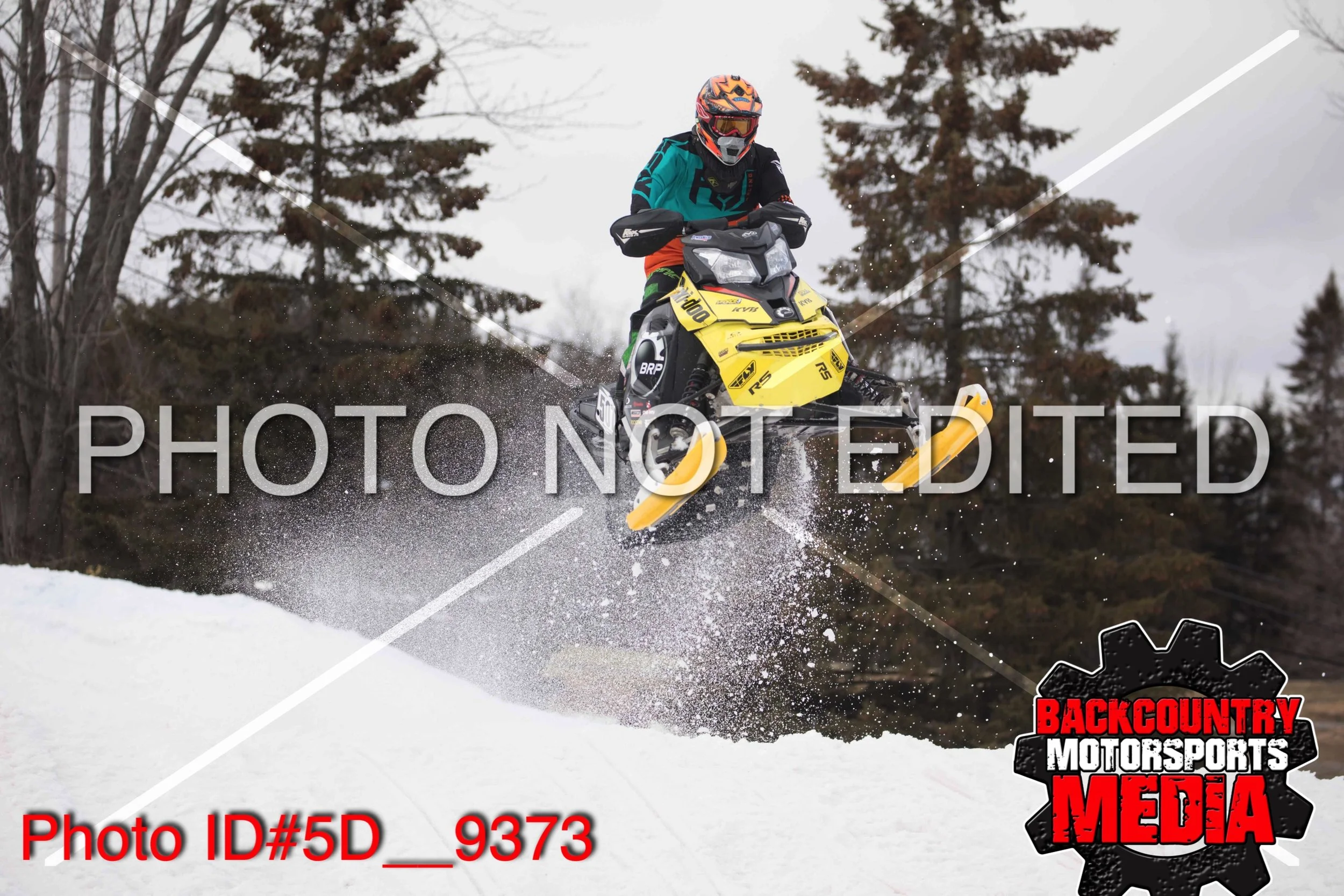 5D__9373.jpg