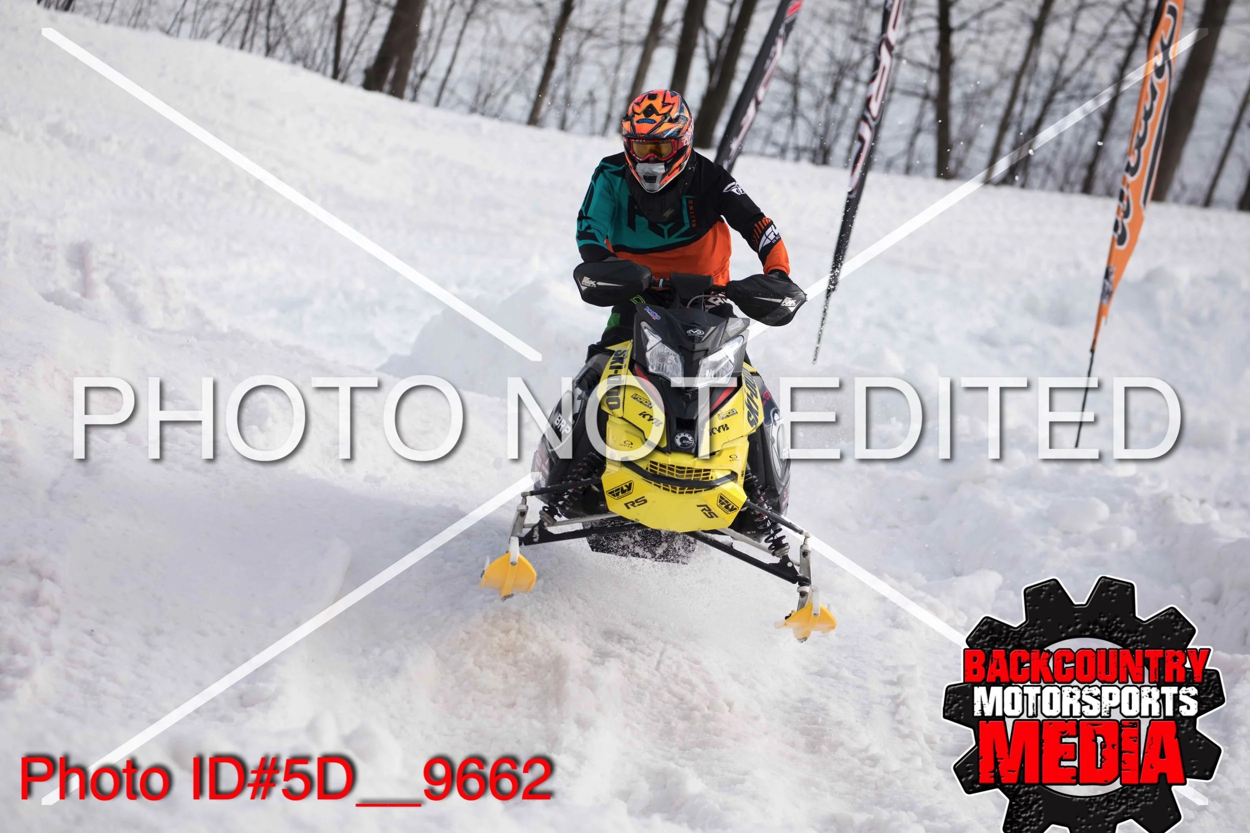 5D__9662.jpg