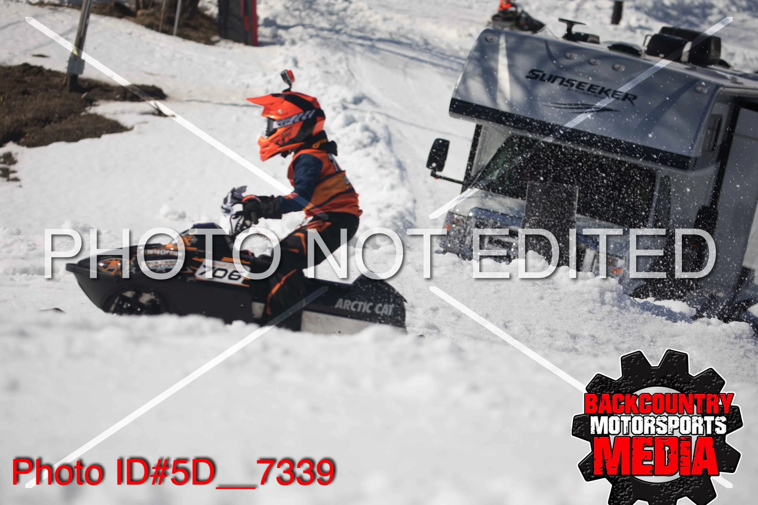 5D__7339.jpg