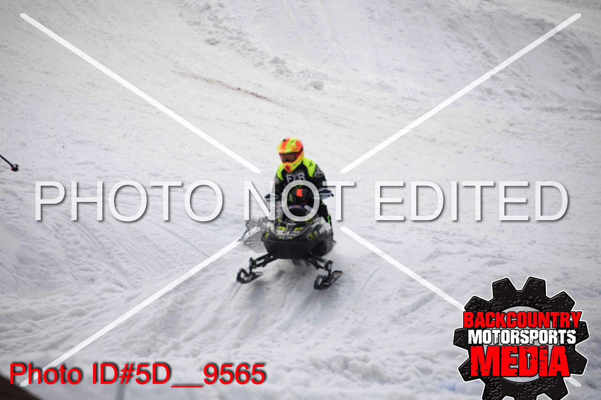 5D__9565.jpg