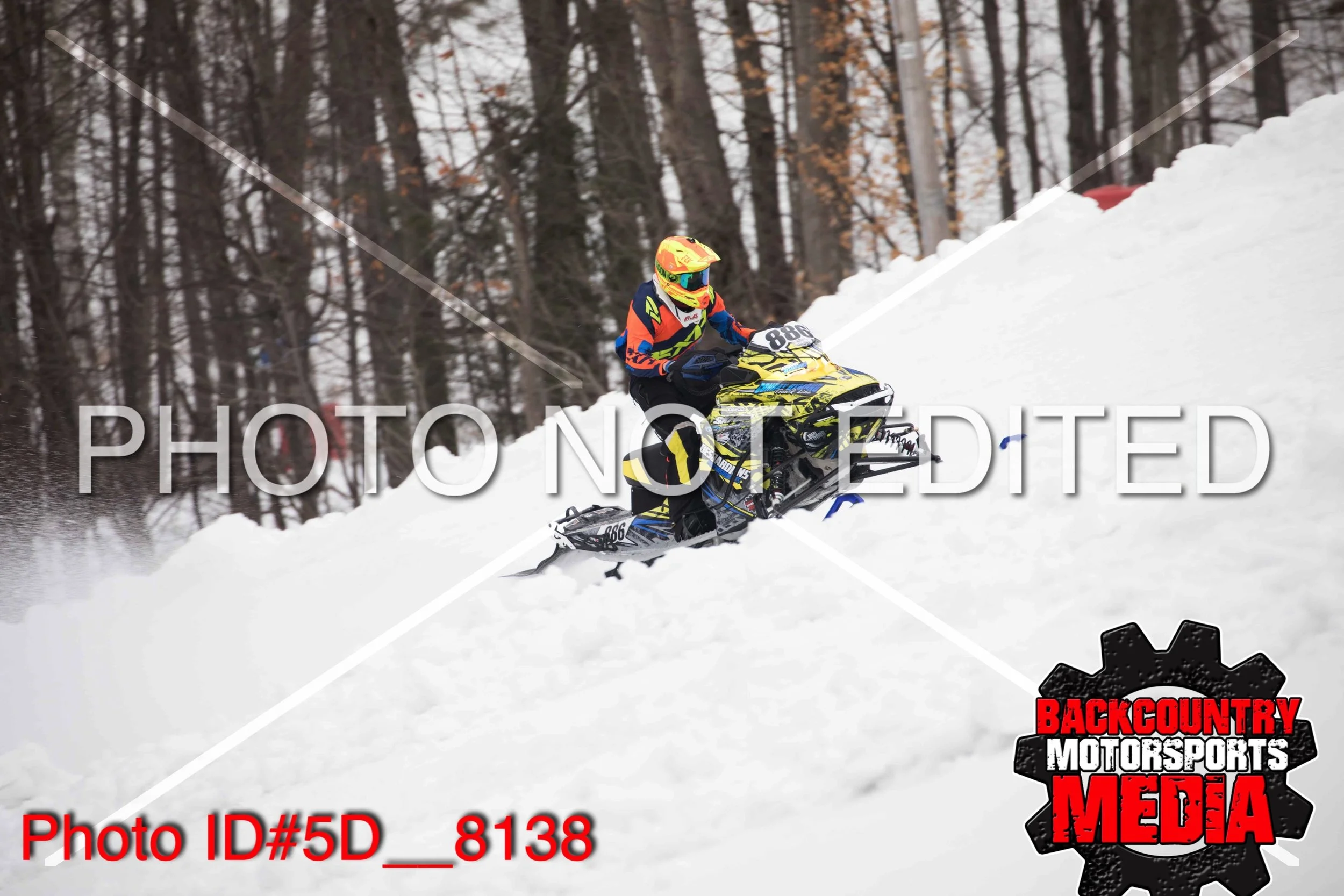 5D__8138.jpg