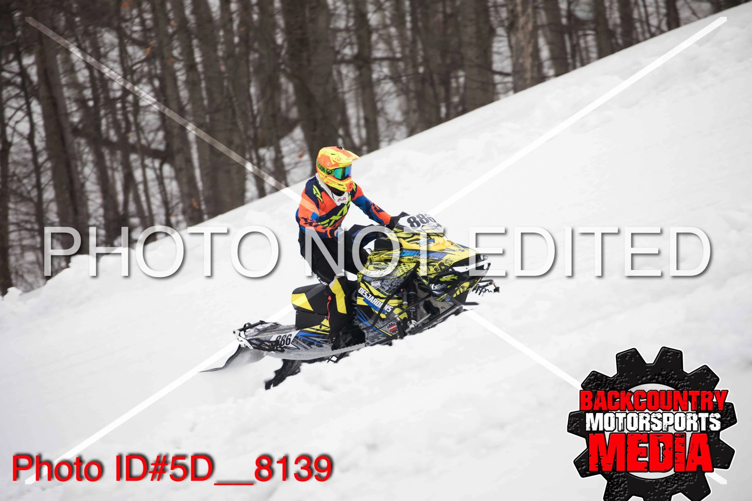 5D__8139.jpg