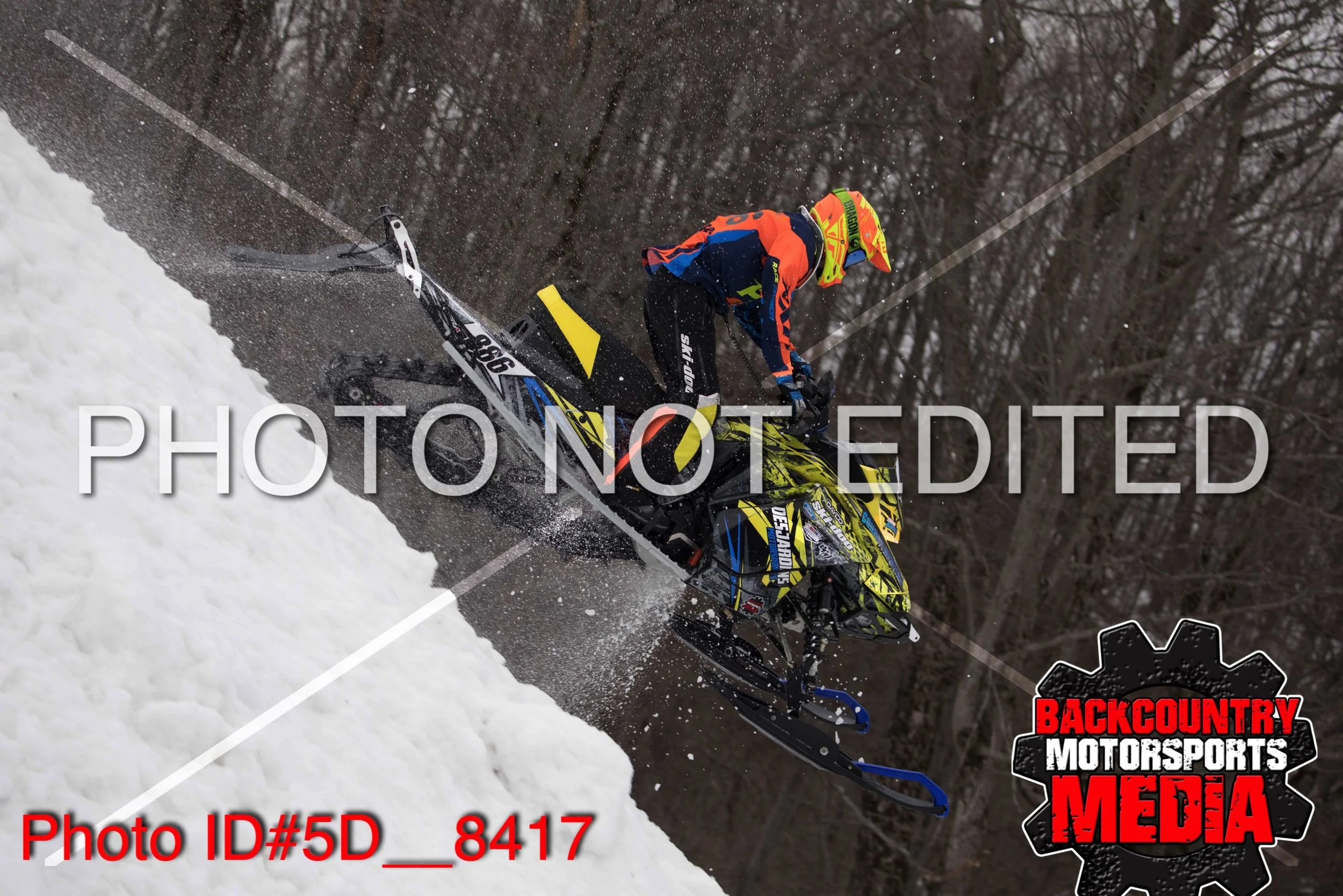 5D__8417.jpg