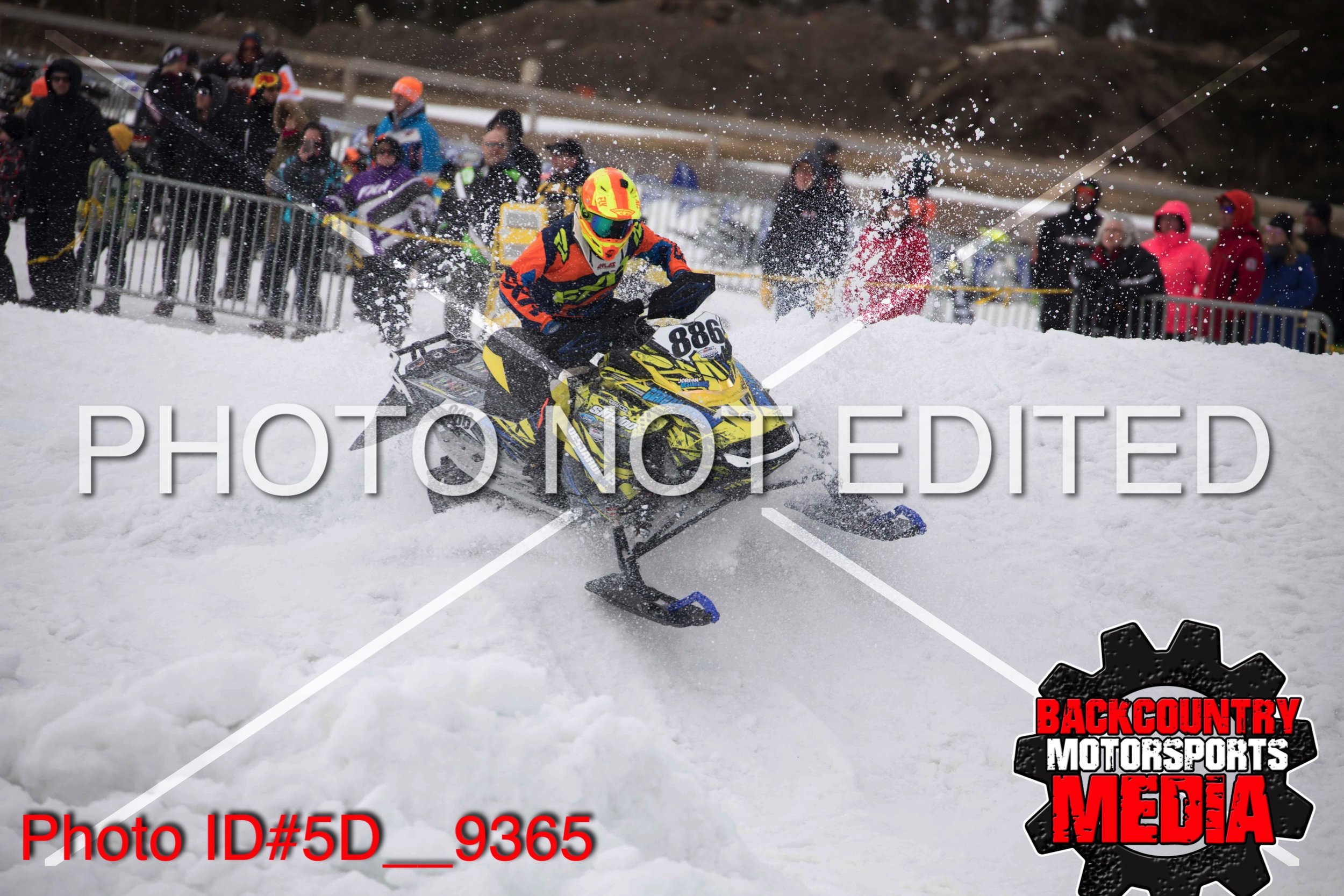 5D__9365.jpg