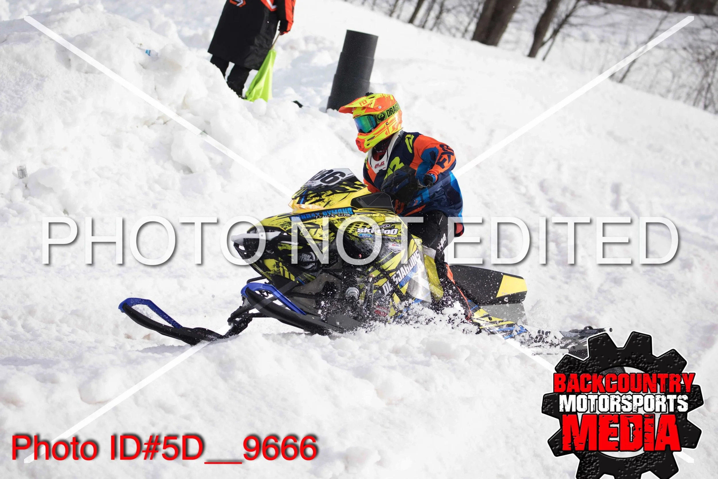 5D__9666.jpg