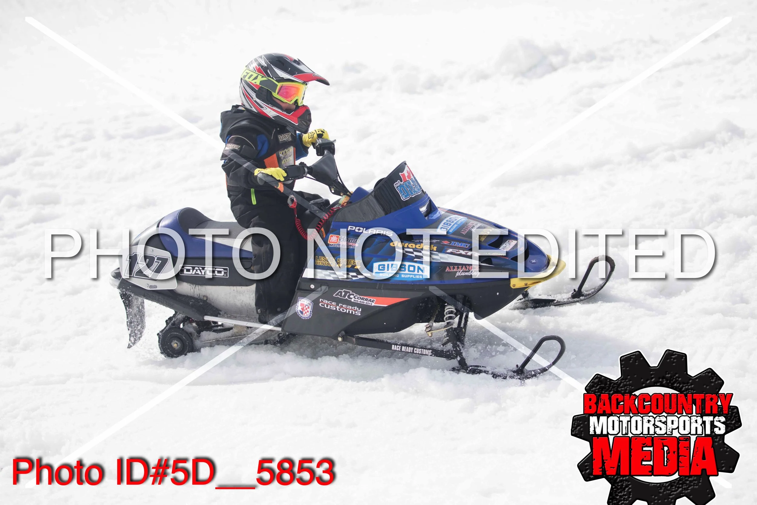 5D__5853.jpg