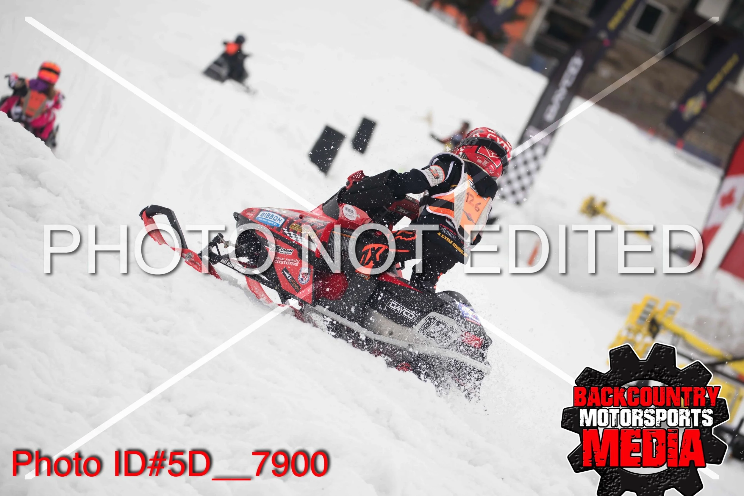 5D__7900.jpg