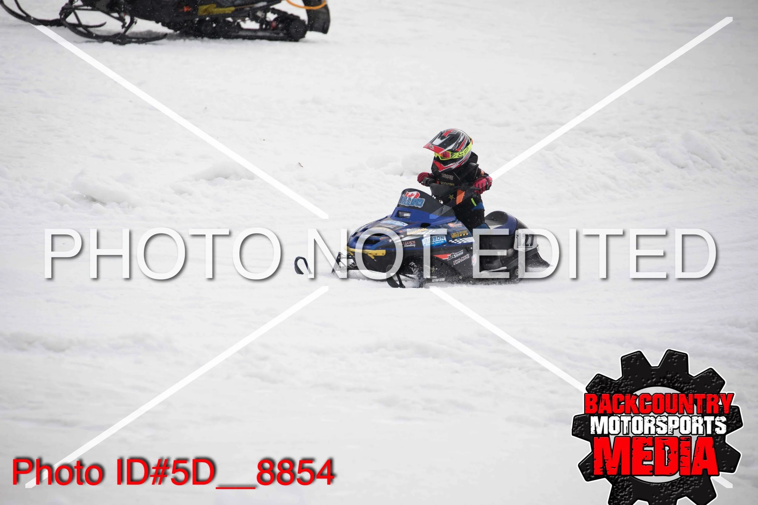 5D__8854.jpg