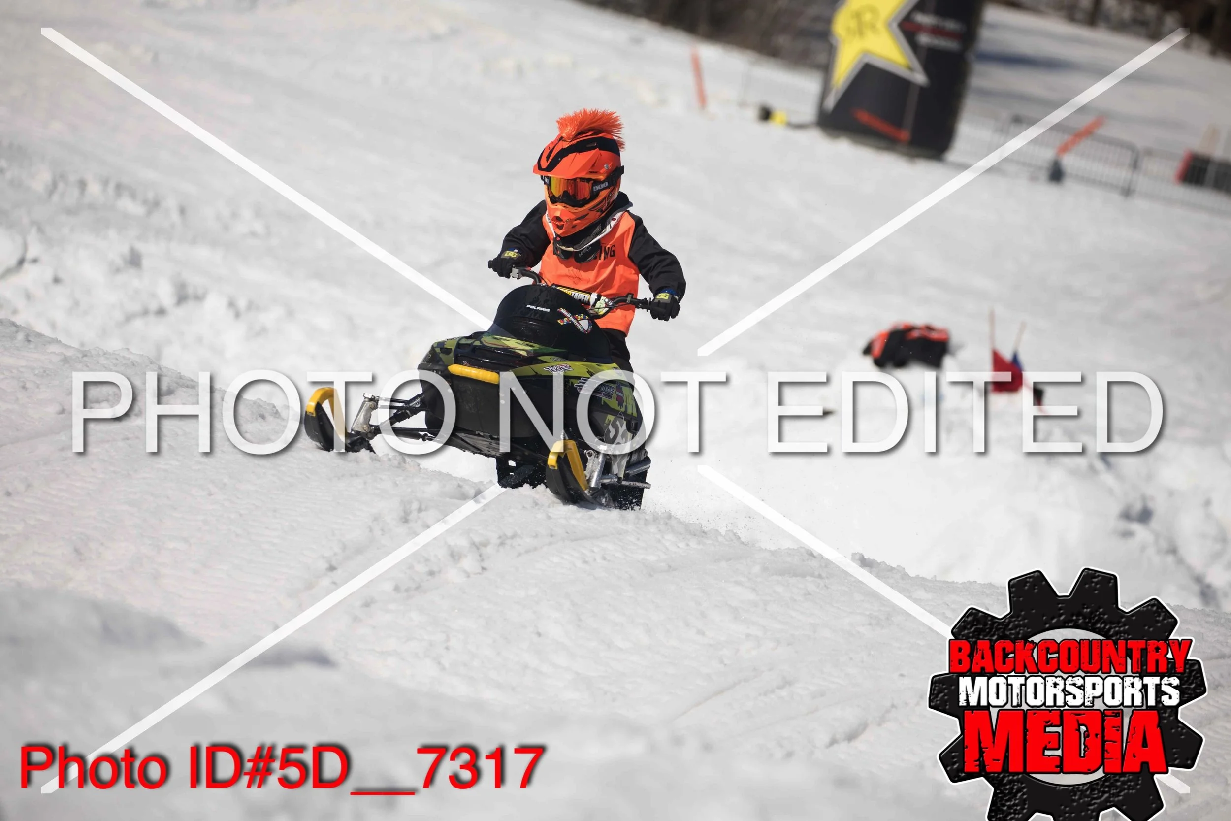 5D__7317.jpg