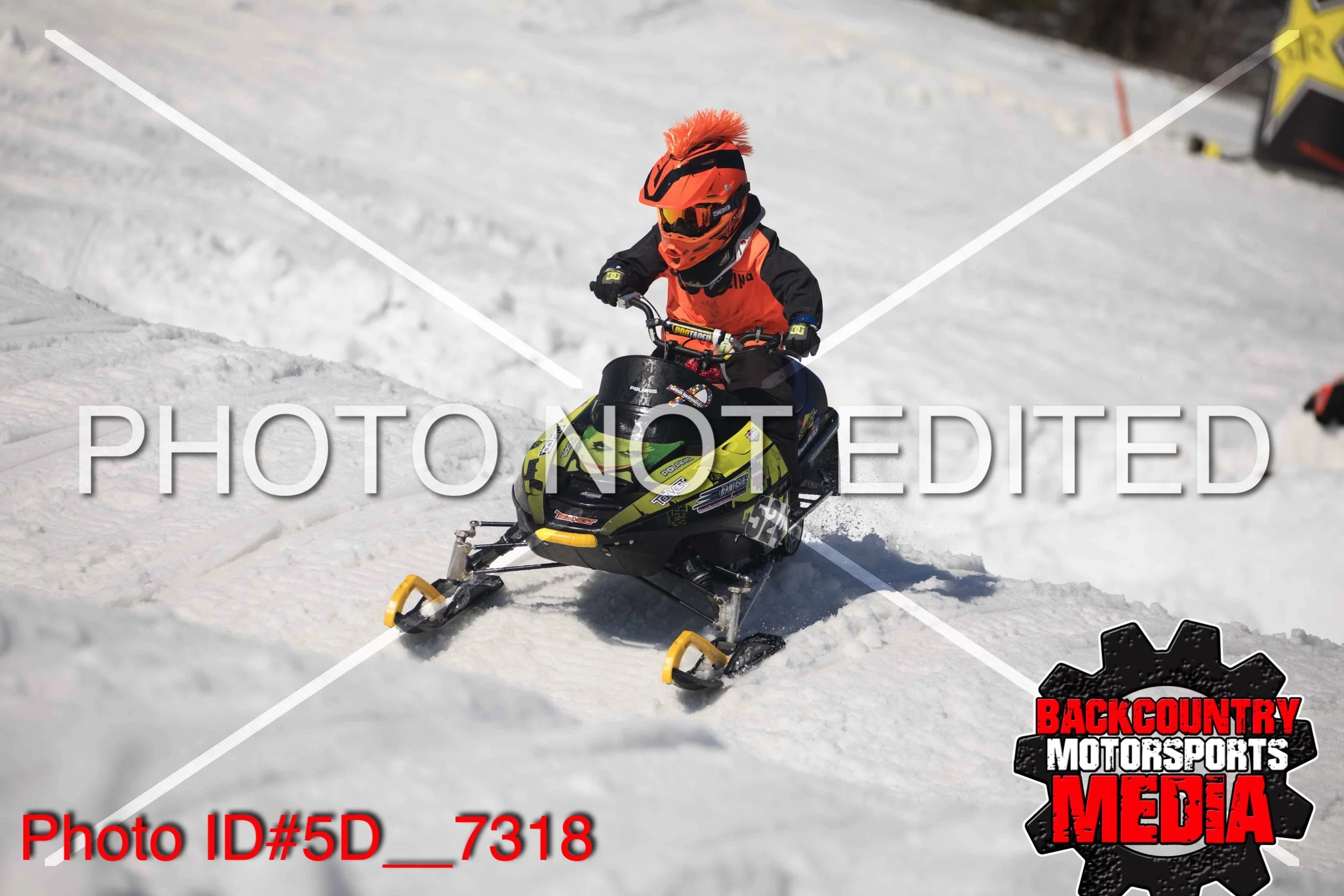 5D__7318.jpg