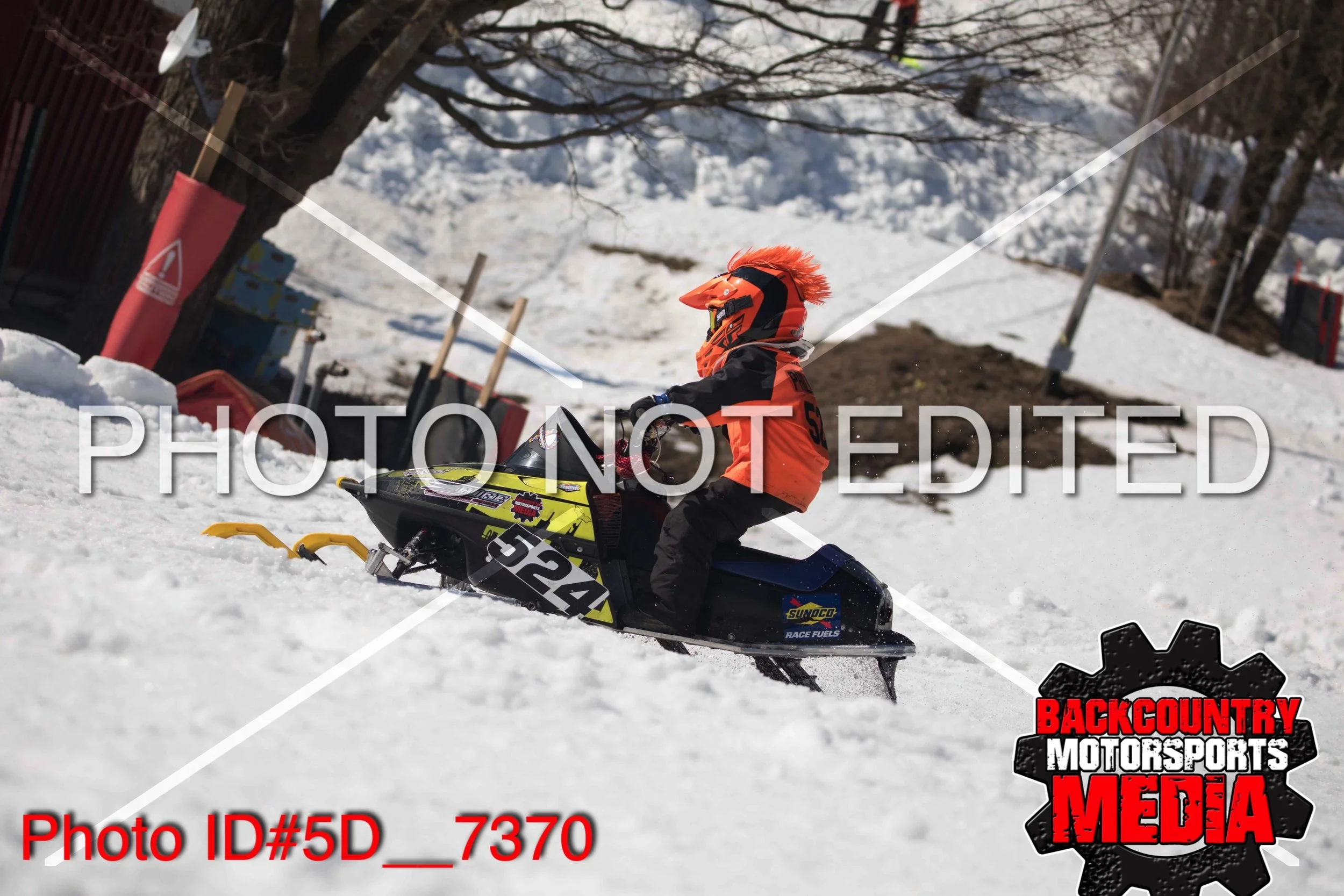 5D__7370.jpg