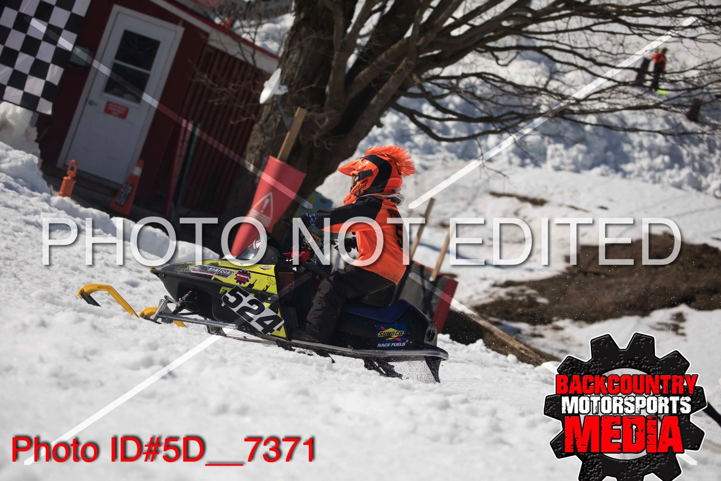 5D__7371.jpg