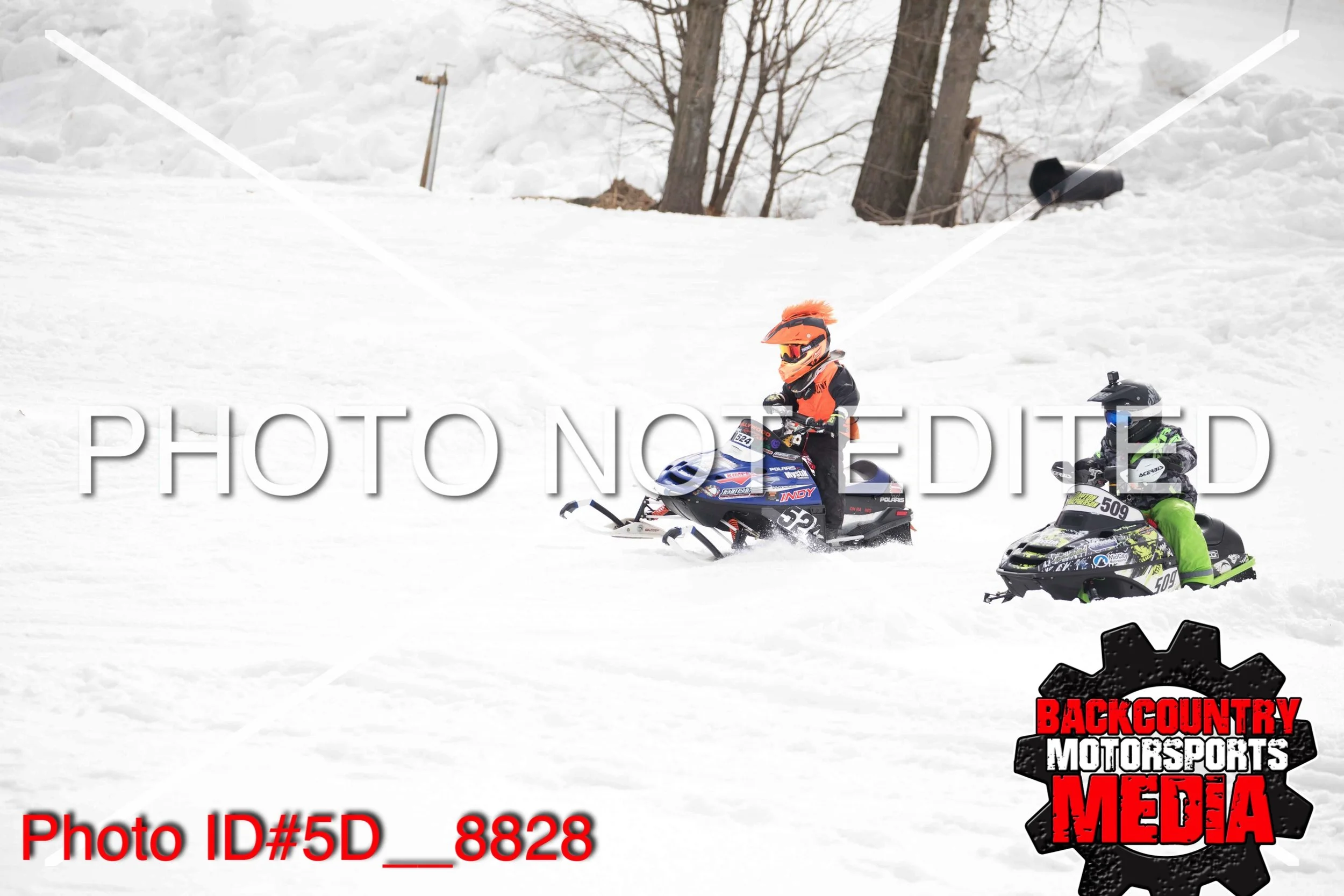 5D__8828.jpg