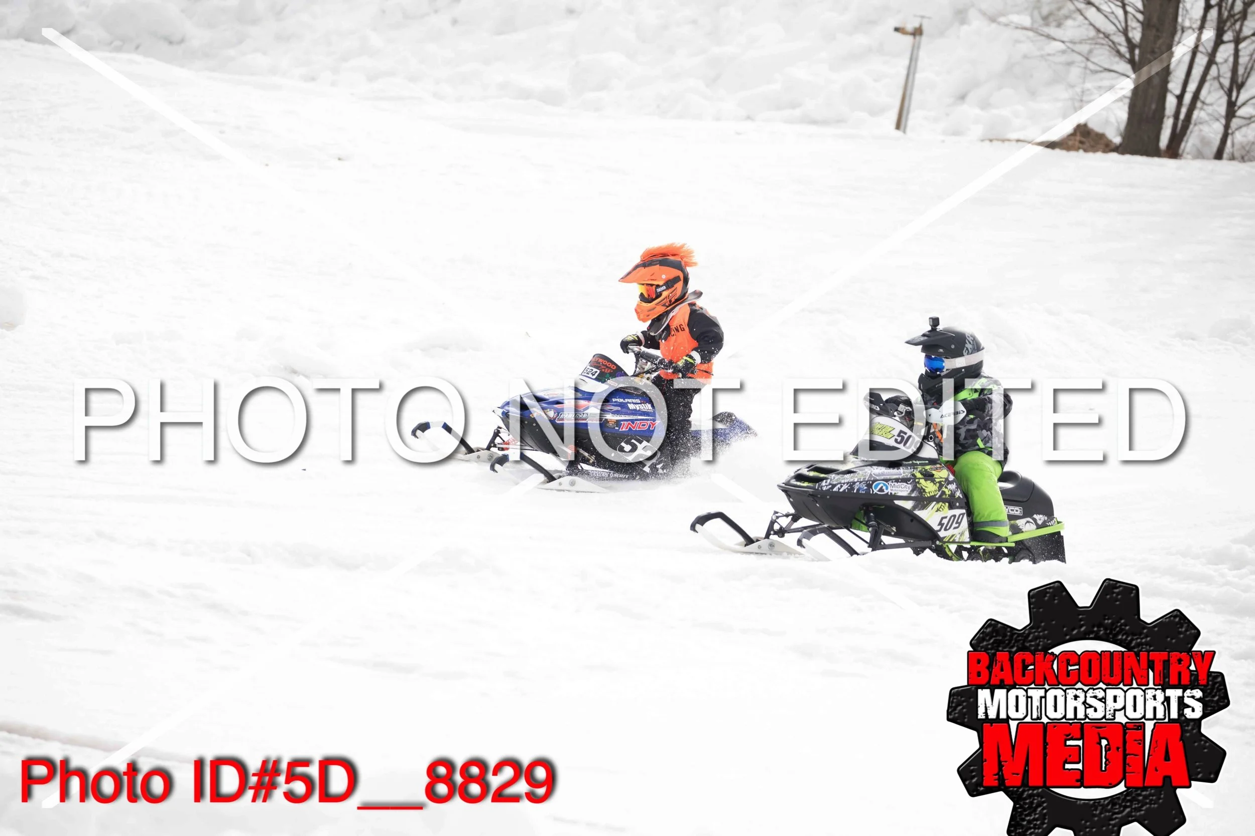 5D__8829.jpg
