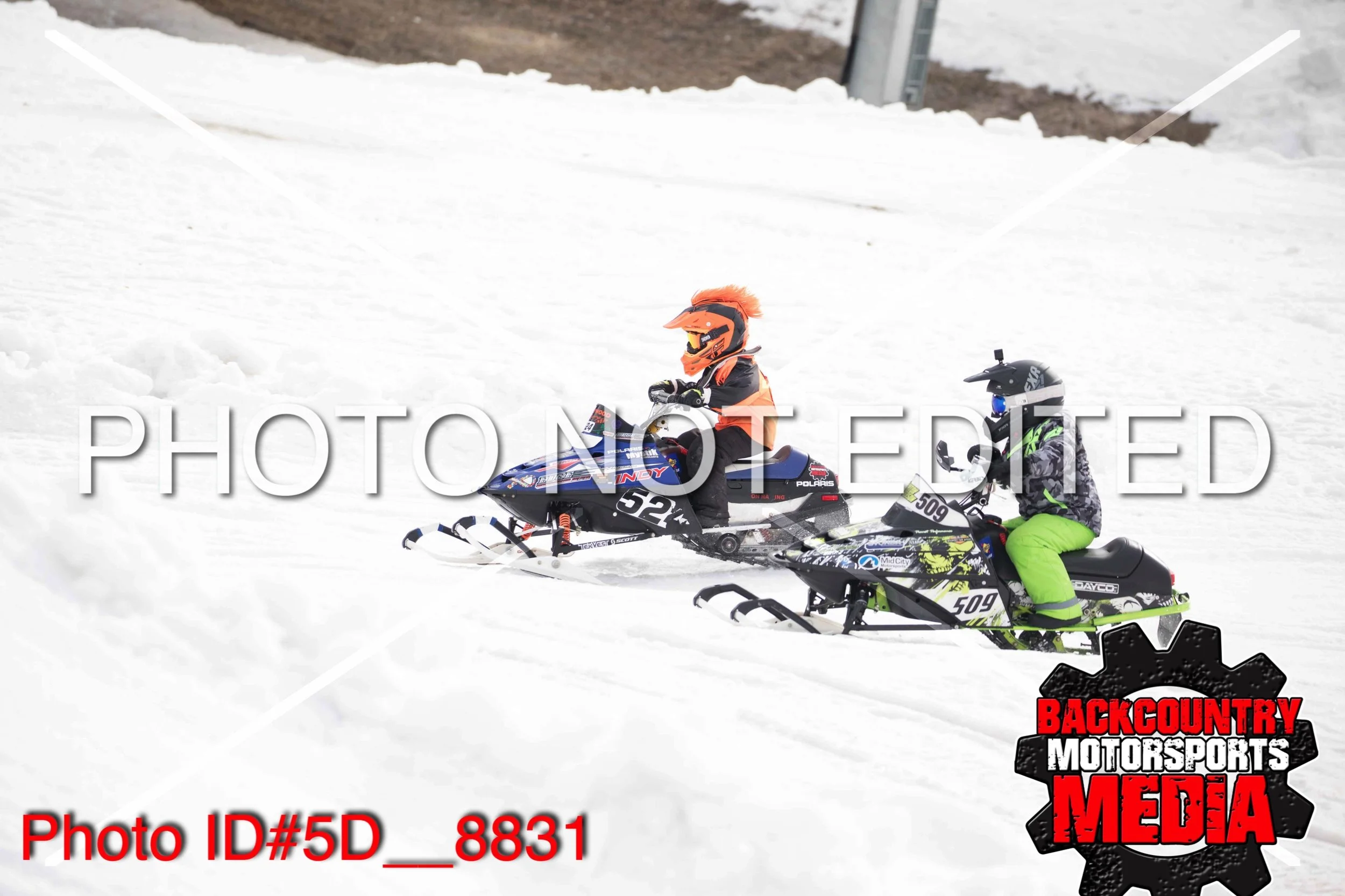 5D__8831.jpg