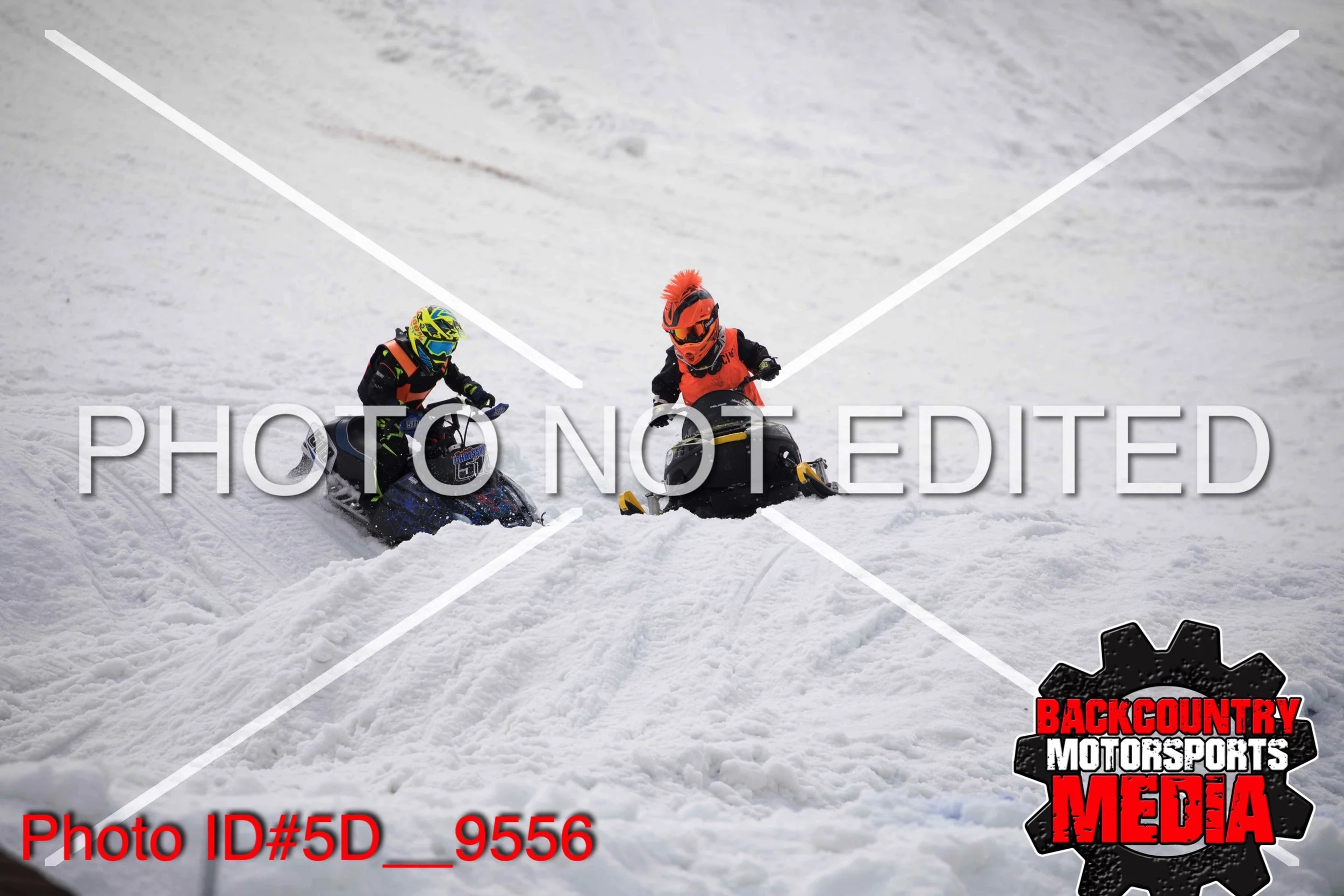 5D__9556.jpg